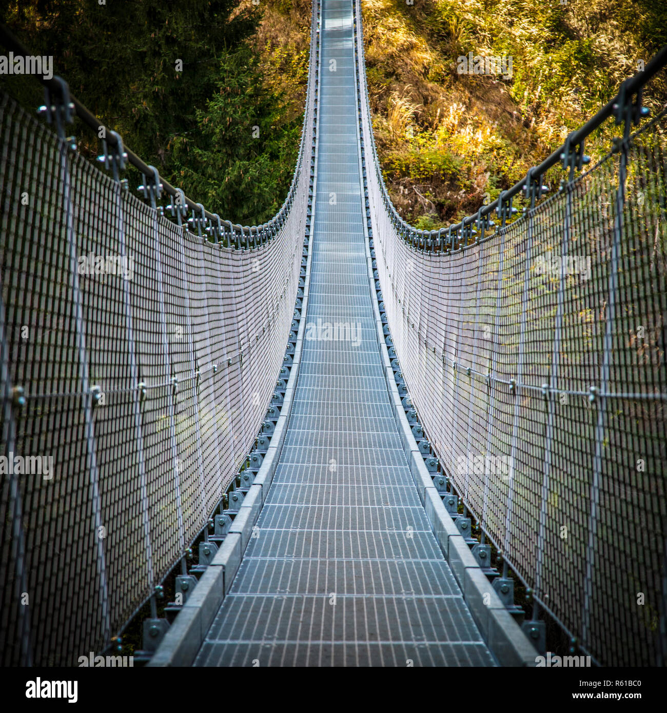 Metall Hängebrücke in rabby Tal Dolomiten Stockfoto