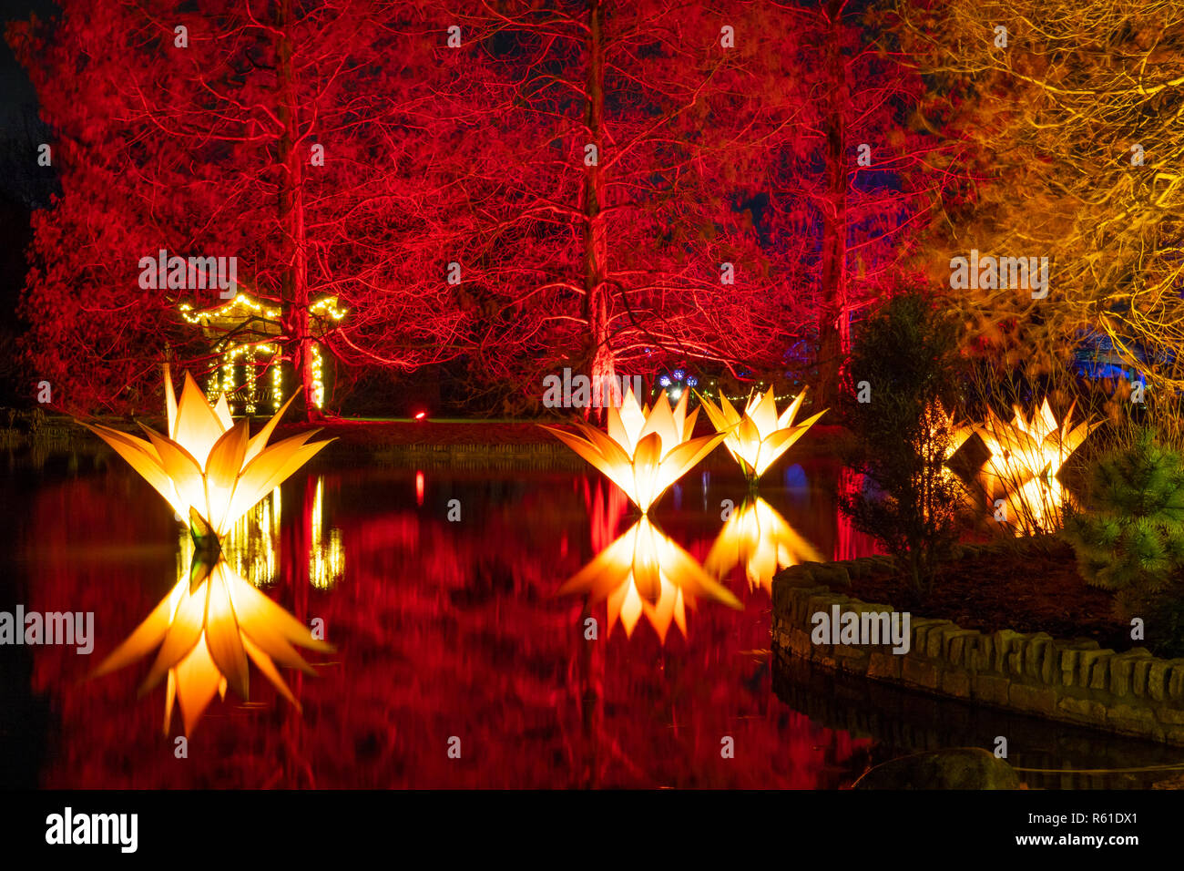 RHS Wisley Weihnachtsbeleuchtung in Woking - Am Samstag, den 1. Dezember 2018 Stockfoto