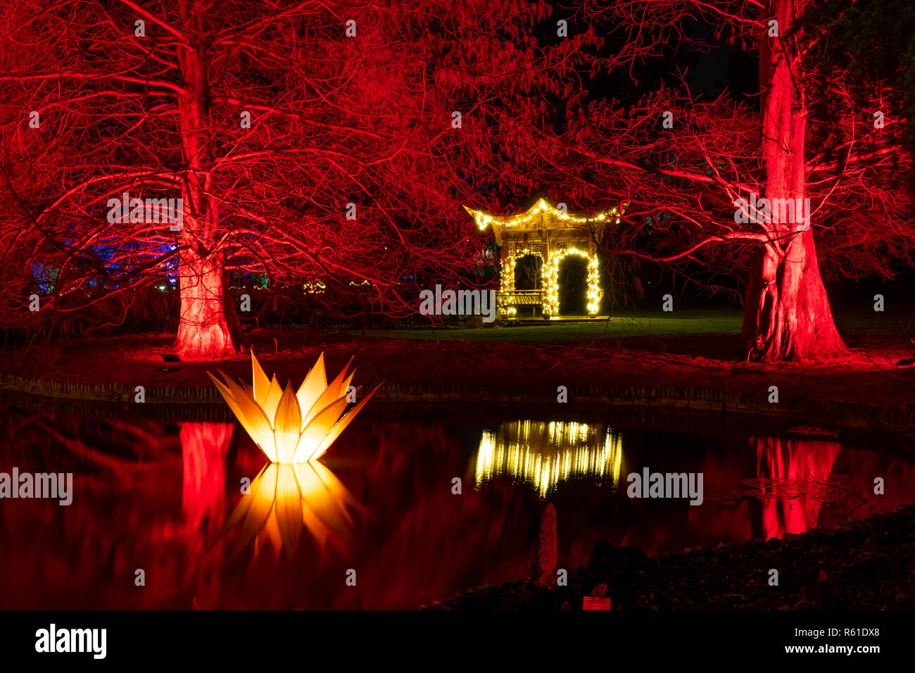 RHS Wisley Weihnachtsbeleuchtung in Woking - Am Samstag, den 1. Dezember 2018 Stockfoto