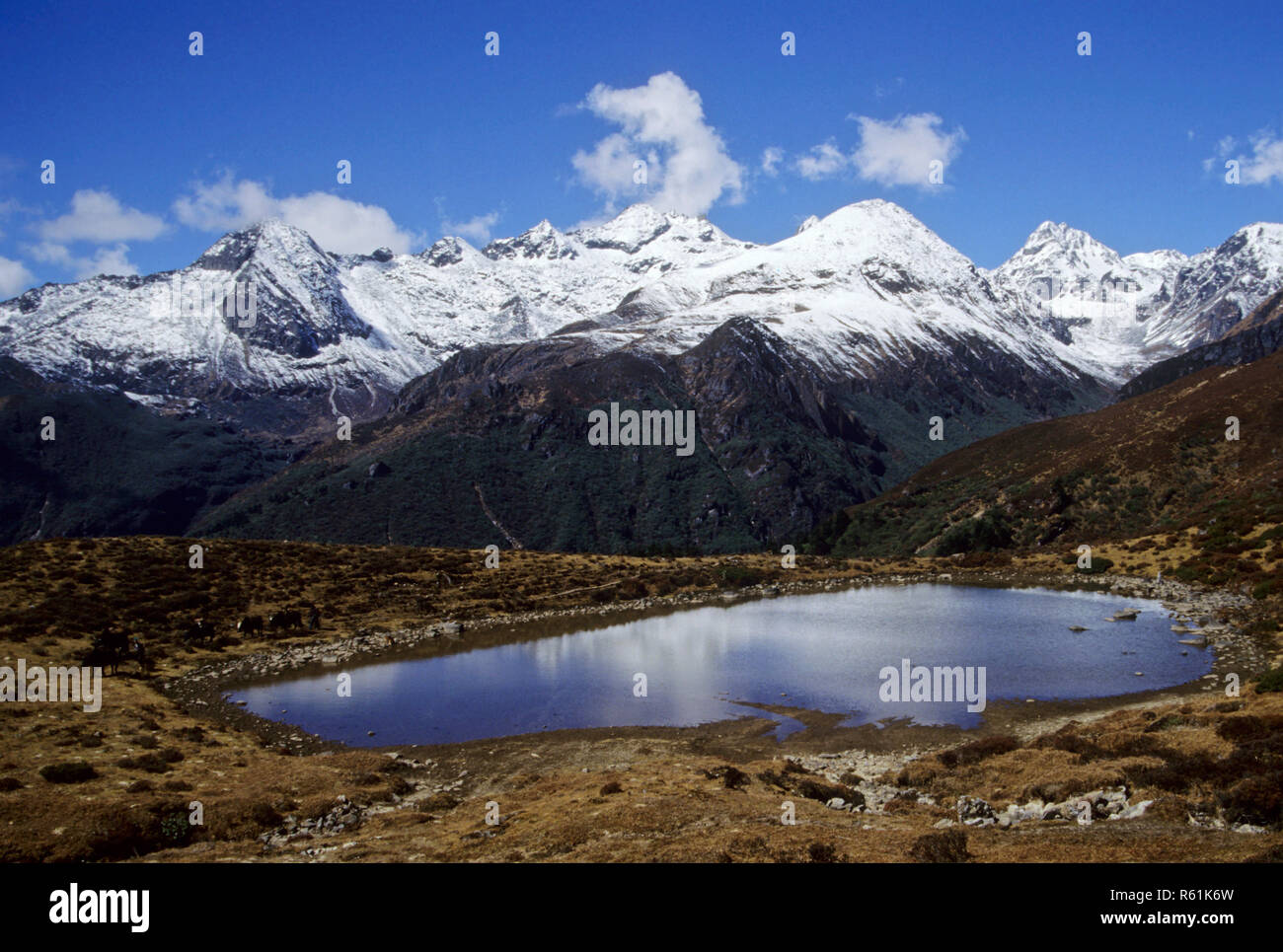 Sikkim Stockfoto