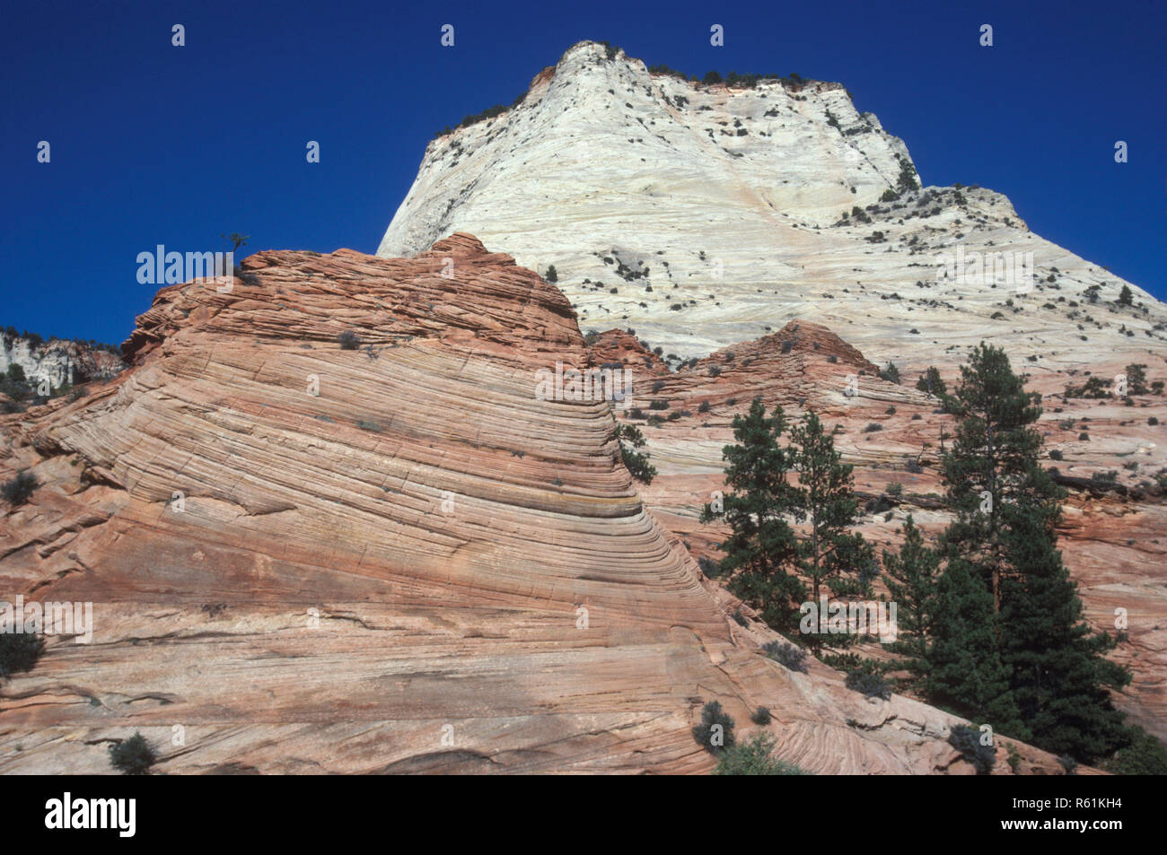 Zion in Utah, Vereinigte Staaten von Amerika Stockfoto