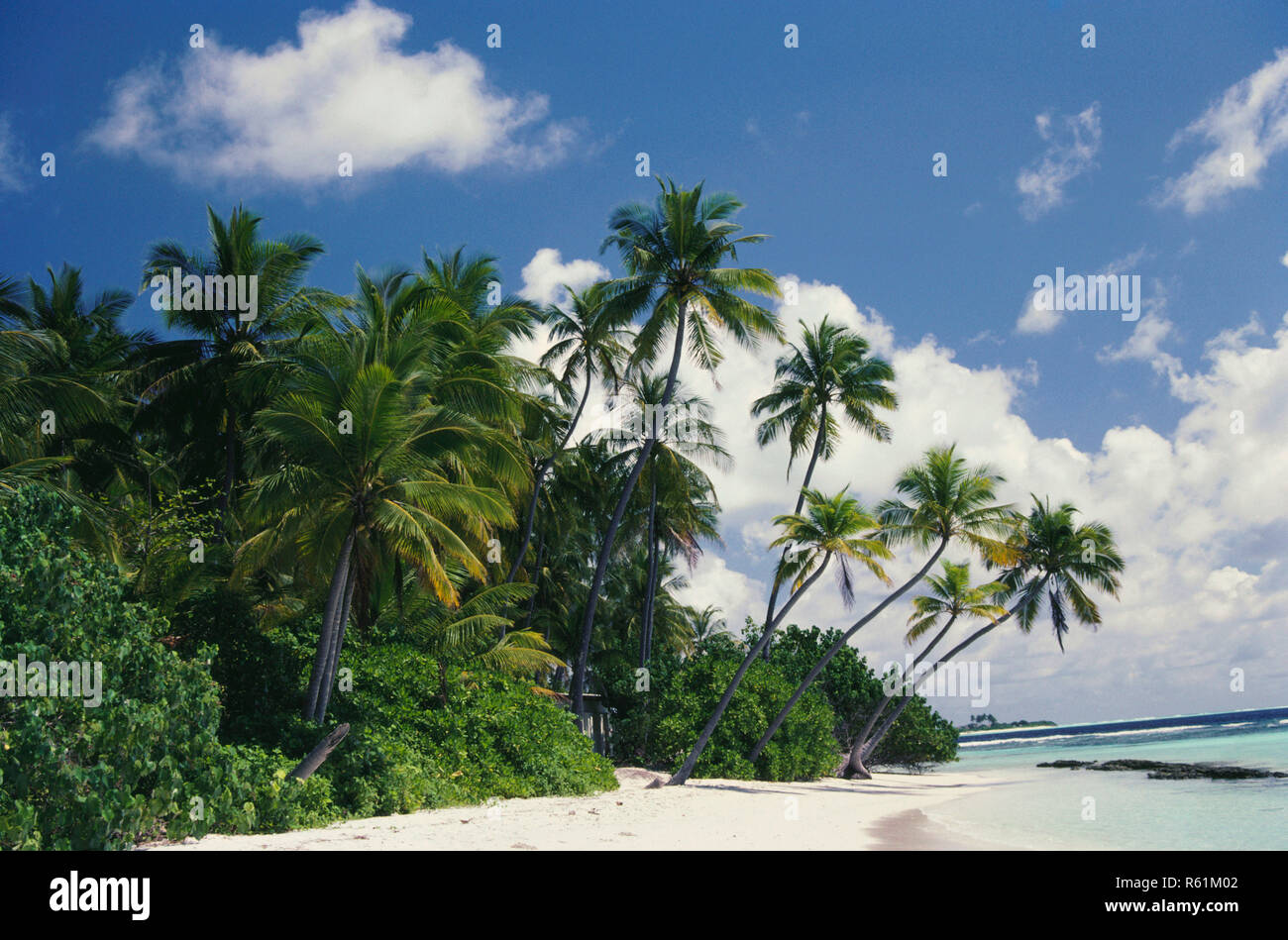 Strand, Andaman Inseln, Indien Stockfoto