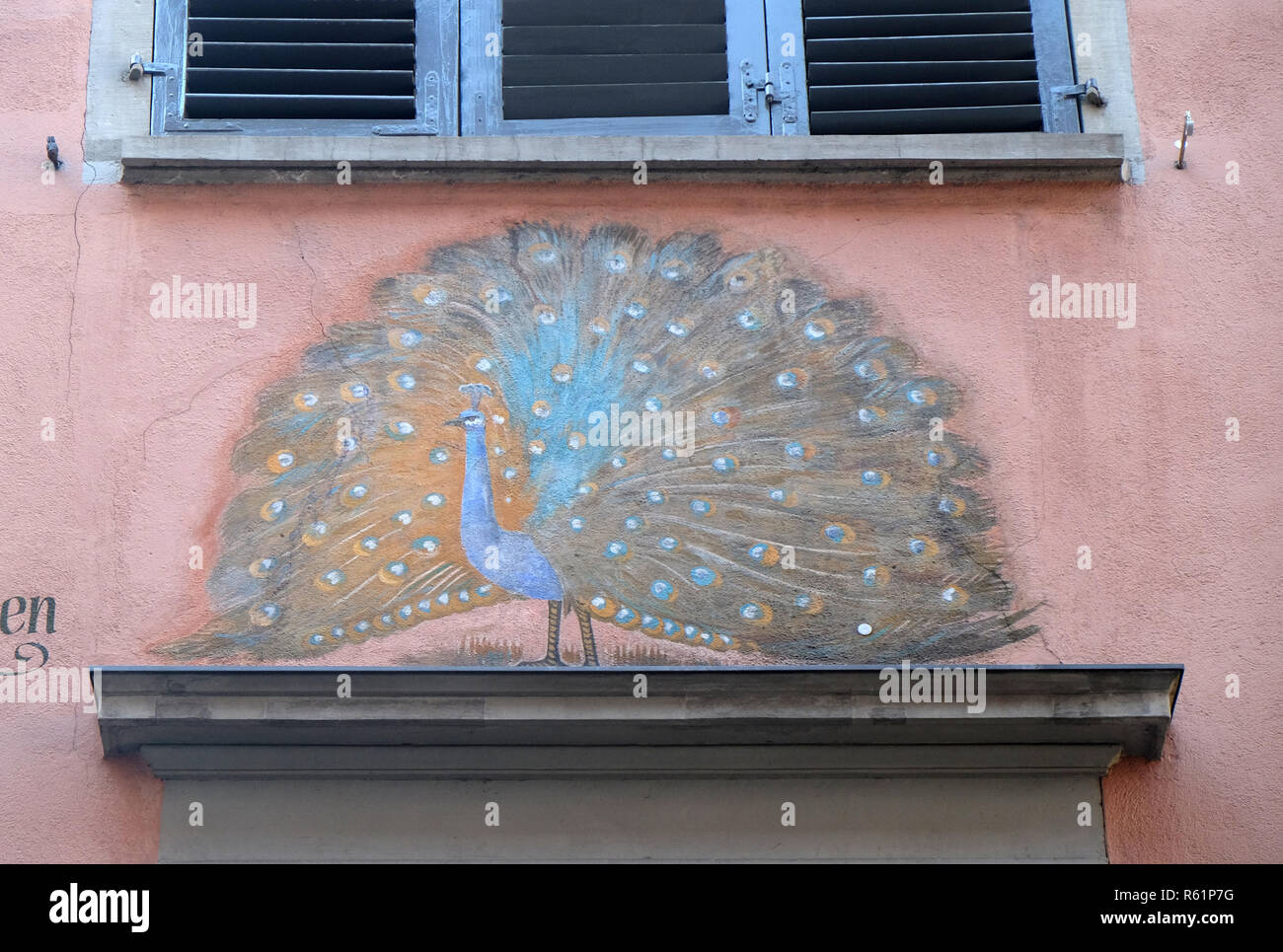 Die alten Wandgemälde an der Fassade des Hauses zeigt die Pfau im Stadtzentrum von Zürich, Schweiz Stockfoto Die alten Wandgemälde an der Fassade des Hauses zeigt die Pfau im Stadtzentrum von Zürich, Schweiz Stockfoto