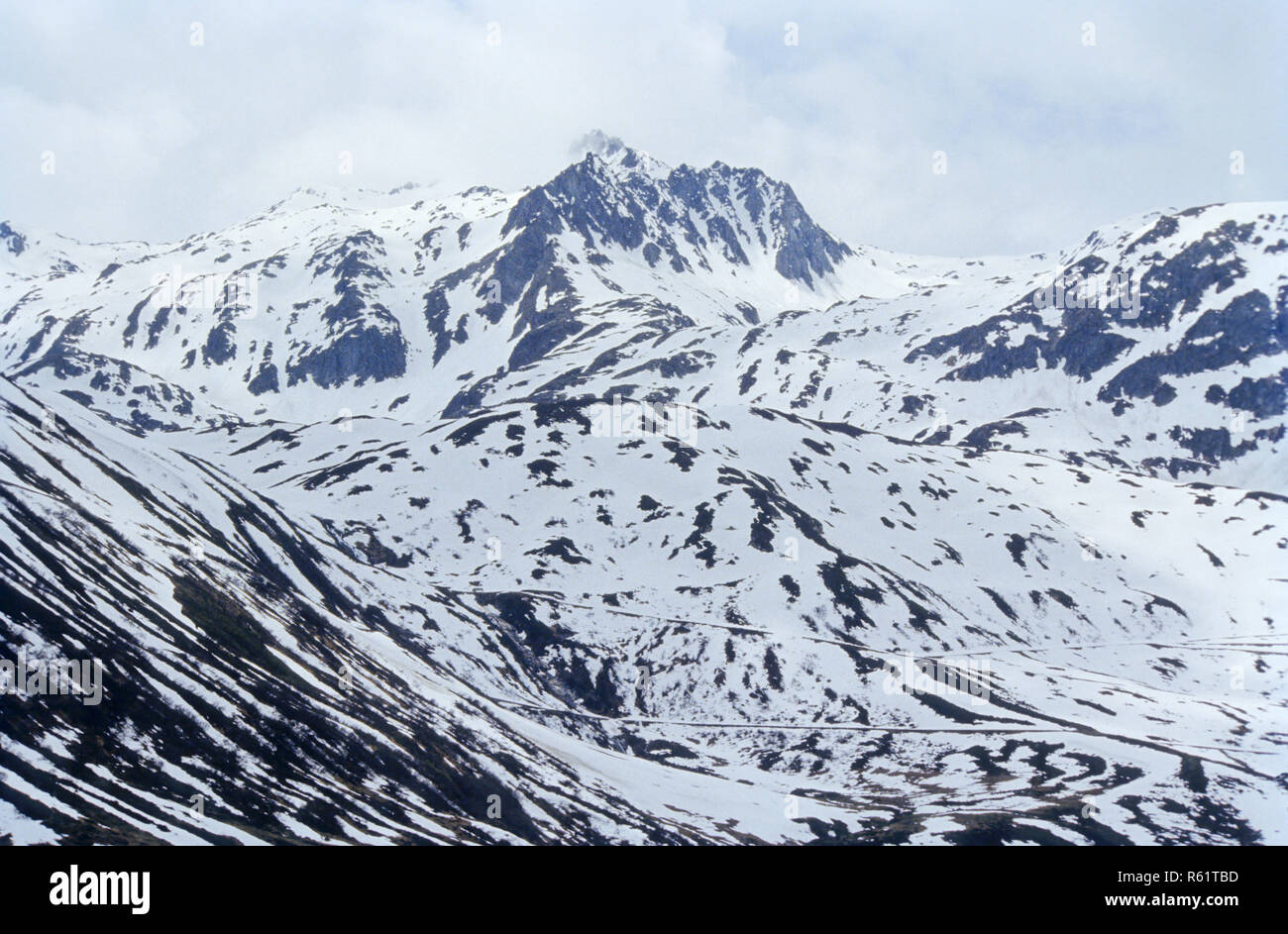 Schneebedeckte Berge Stockfoto