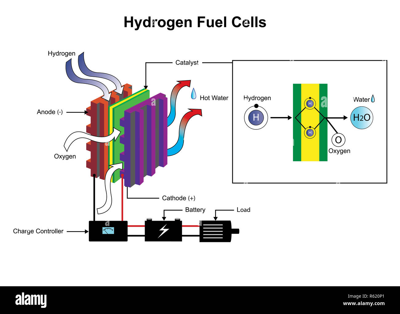 Brennstoffzellen im Diagramm. Stockfoto