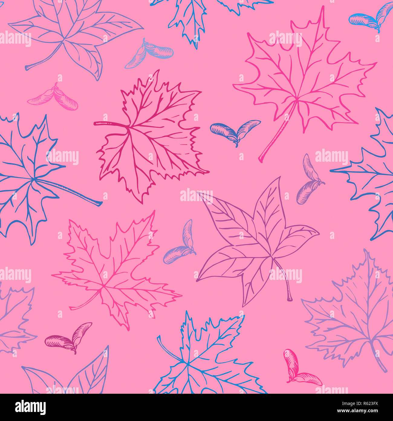 Ahornhölzer bunte Blätter und Samaras, nahtlose Muster Design, Hand gezeichnet Doodle in rosa Hintergrund, Skizze im Pop Art Stil, Farbe Abbildung: Stockfoto