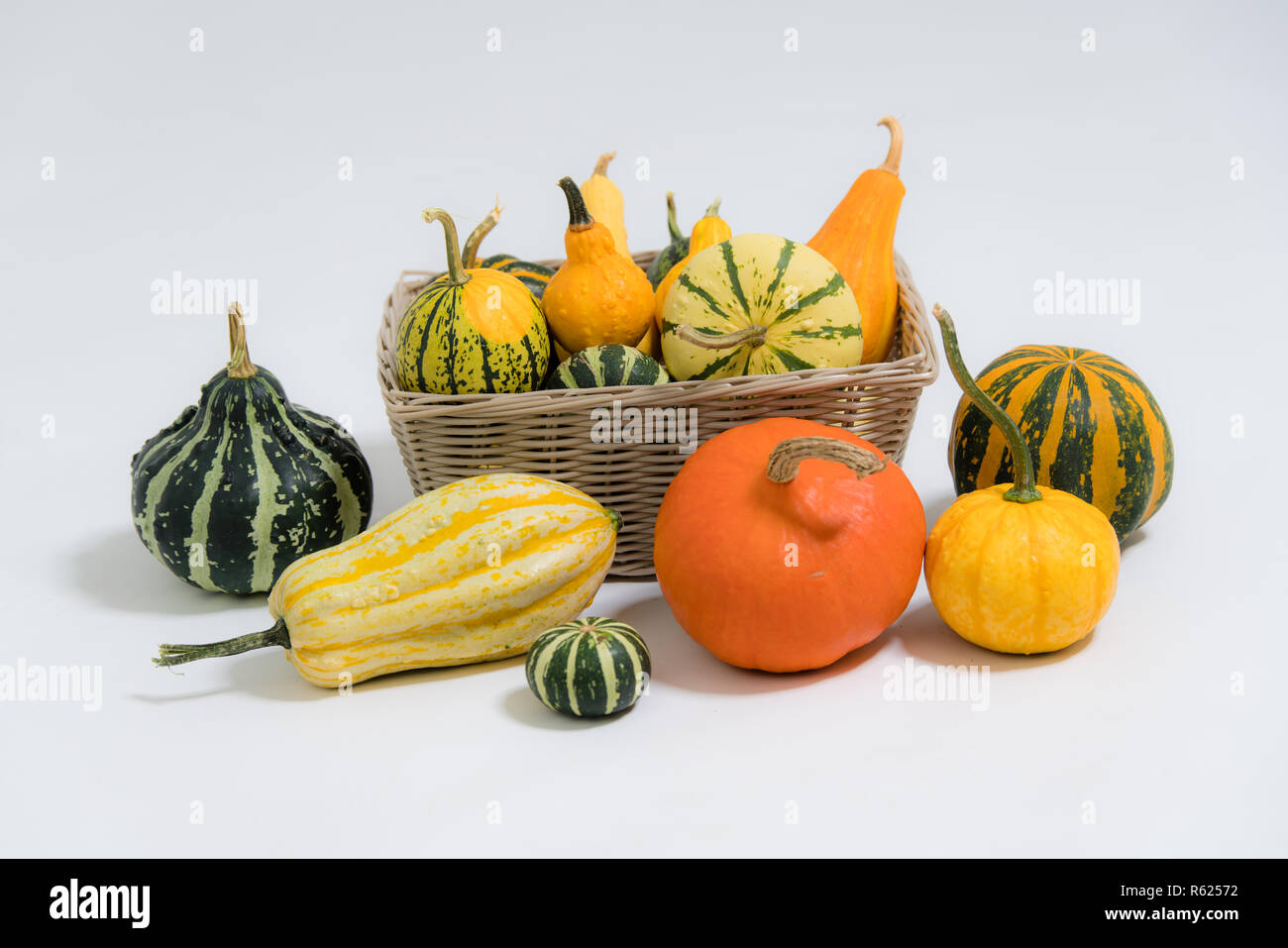 Bunte dekorative Kürbisse Stockfoto