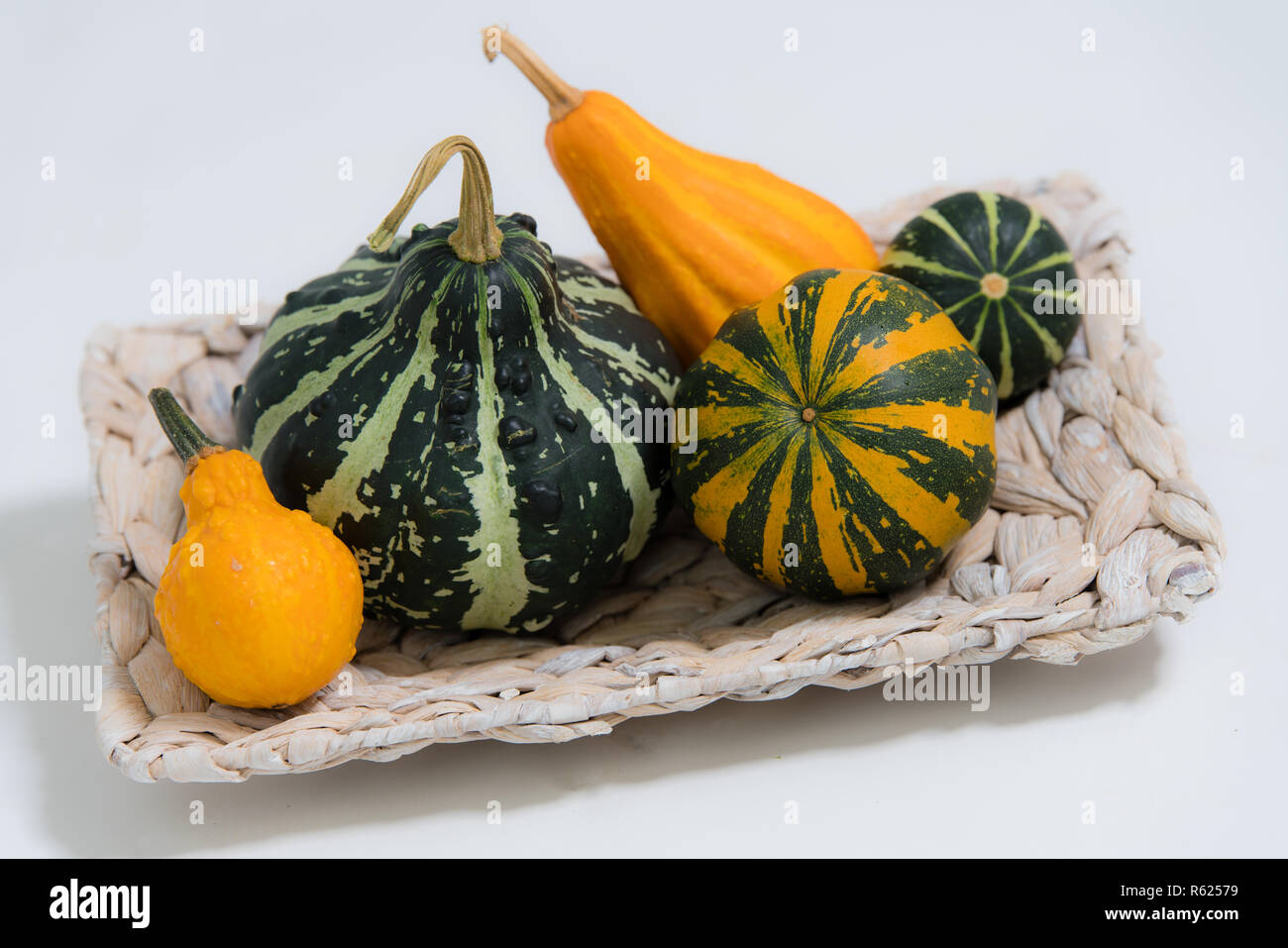 Bunte dekorative Kürbisse Stockfoto