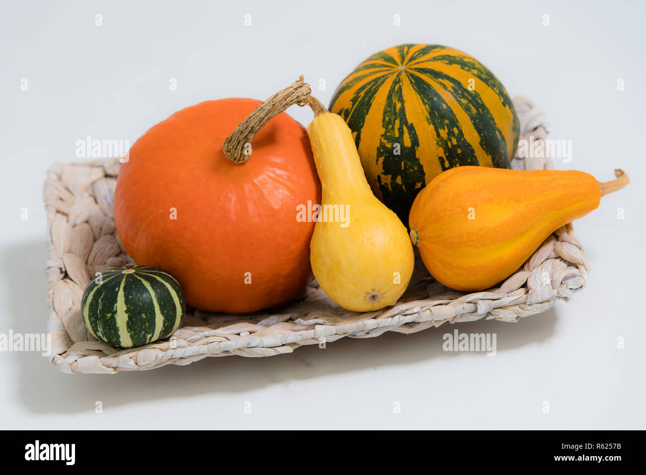 Bunte dekorative Kürbisse Stockfoto