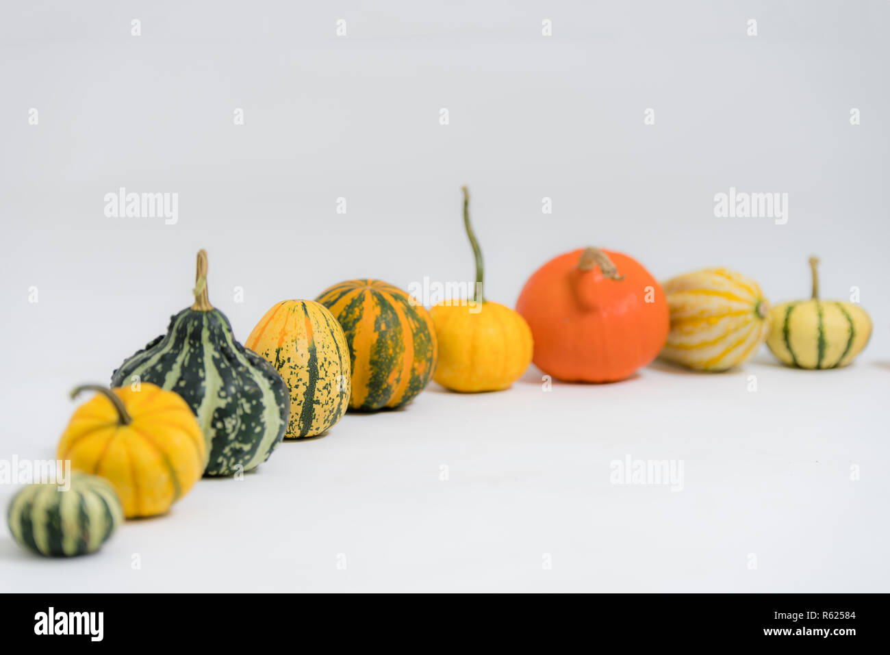 Bunte dekorative Kürbisse Stockfoto