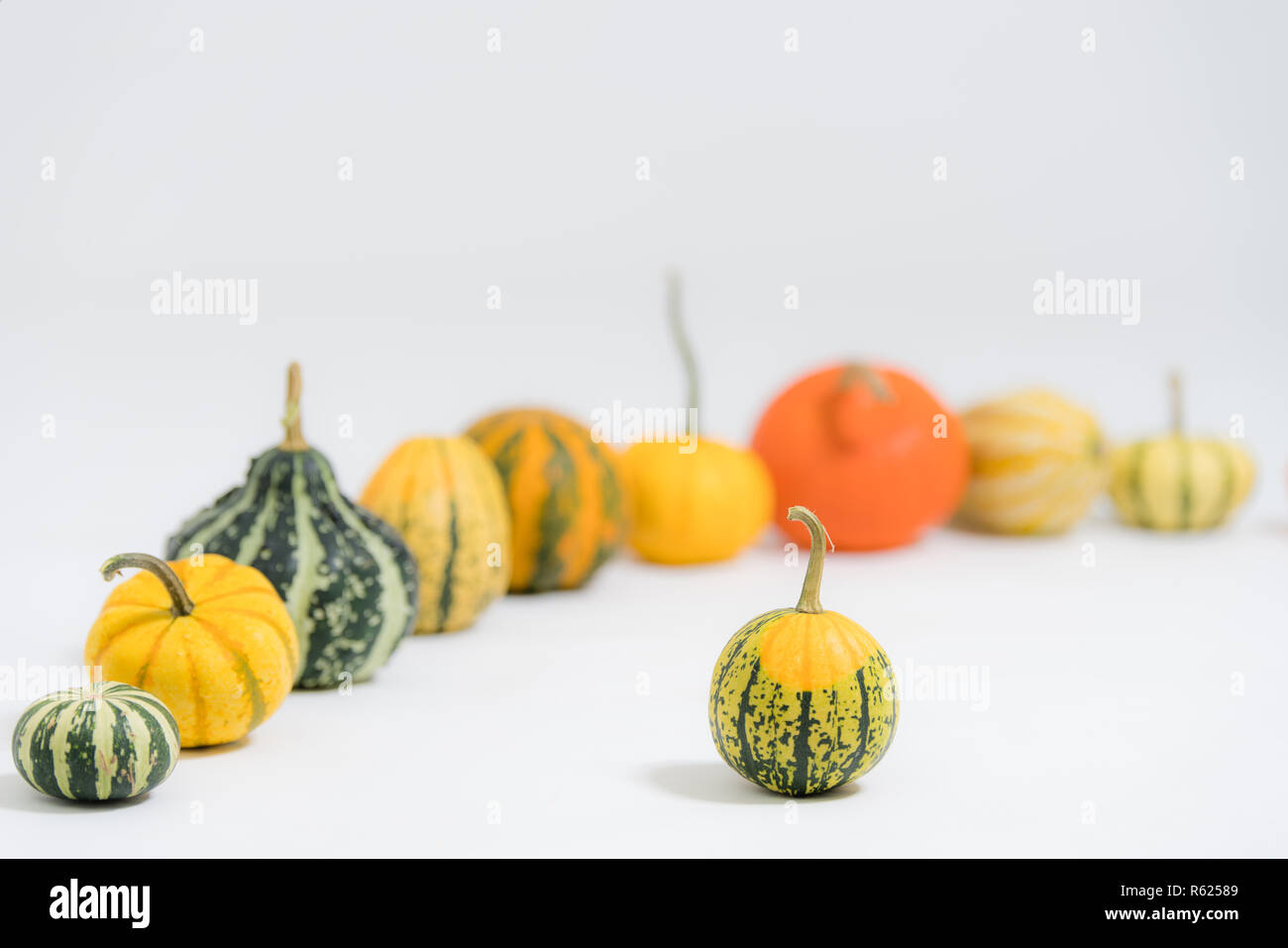 Bunte dekorative Kürbisse Stockfoto