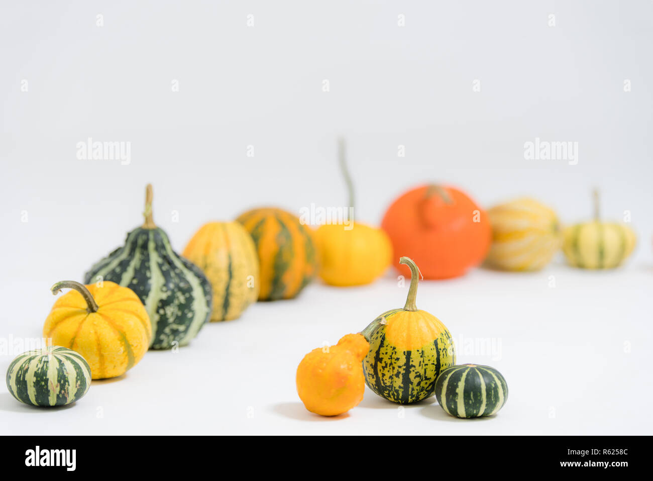 Bunte dekorative Kürbisse Stockfoto