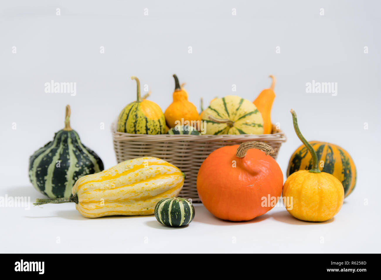 Bunte dekorative Kürbisse Stockfoto