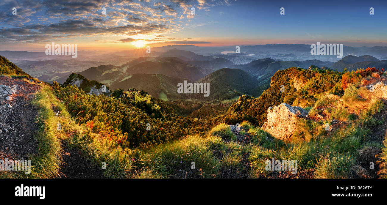 Berg Tal bei Sonnenaufgang. Natürliche Sommer Landschaft in der Slowakei Stockfoto