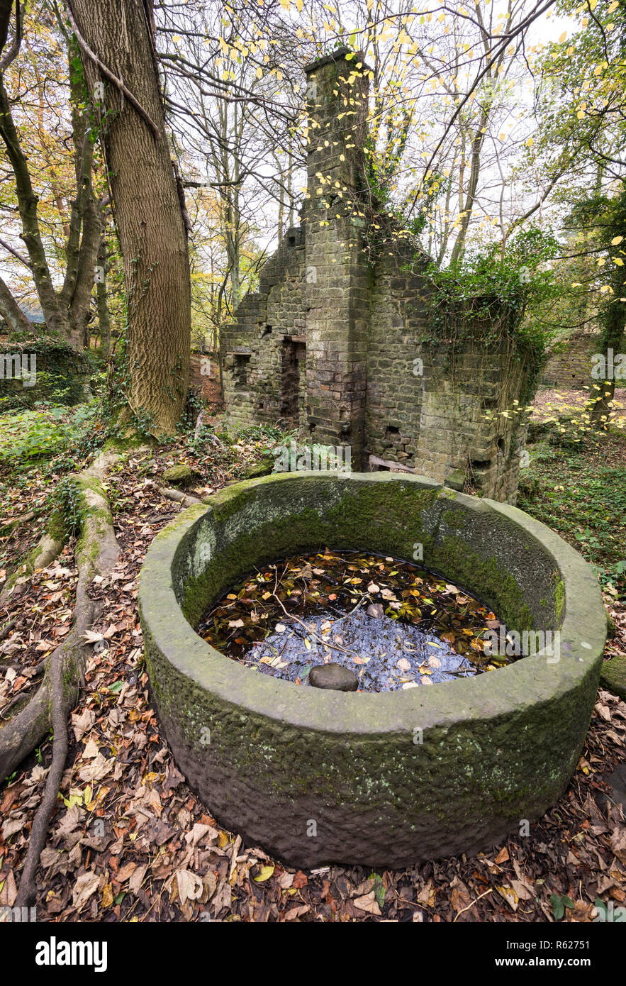 Die Ruinen der alten Mühlen im Tal Lumsdale ein Bereich des industriellen Erbes in der Nähe von Matlock, Derbyshire, England. Stockfoto