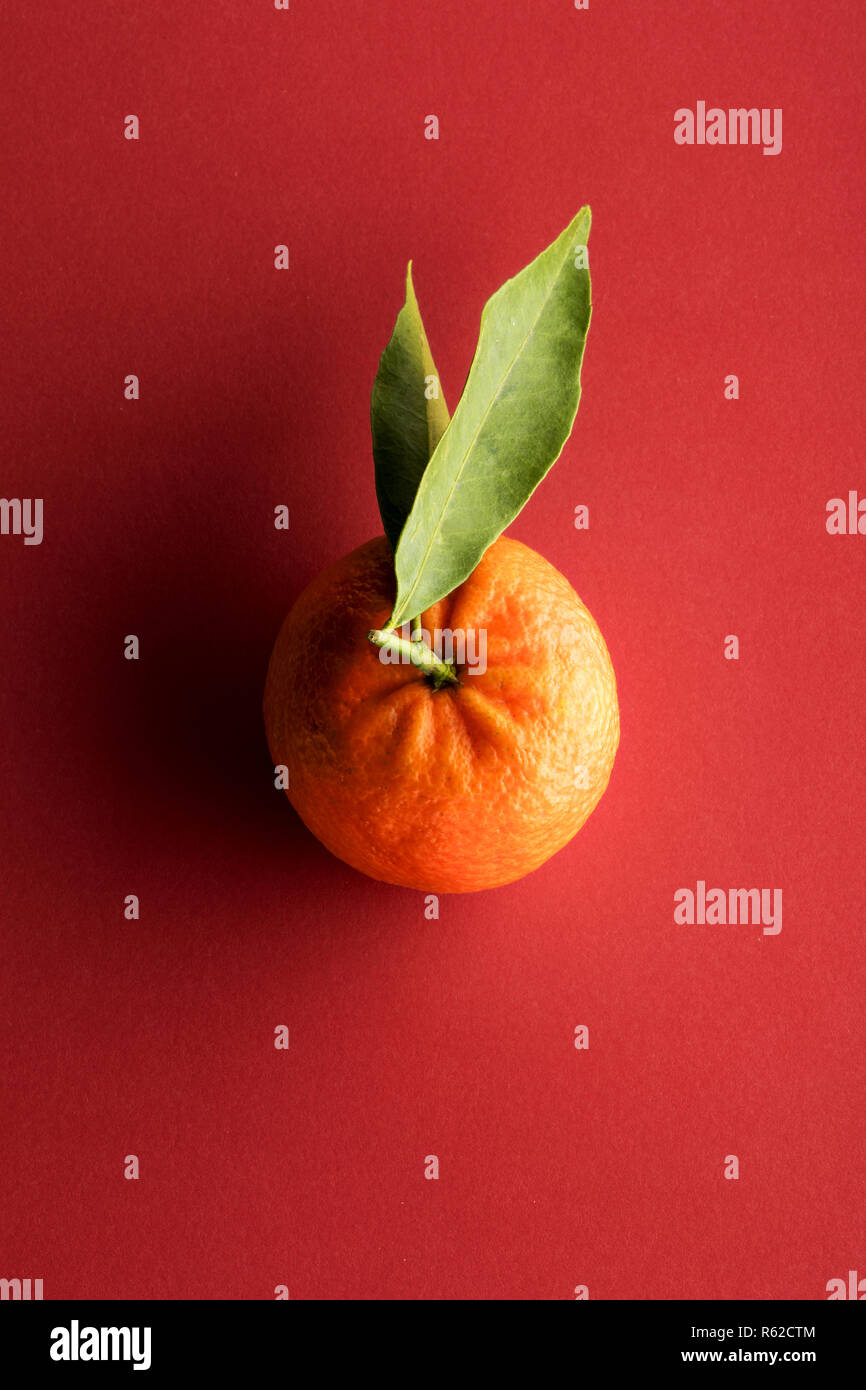 Hohe Betrachtungswinkel von Mandarin Orange mit grünen Blatt gegen den roten Hintergrund Stockfoto