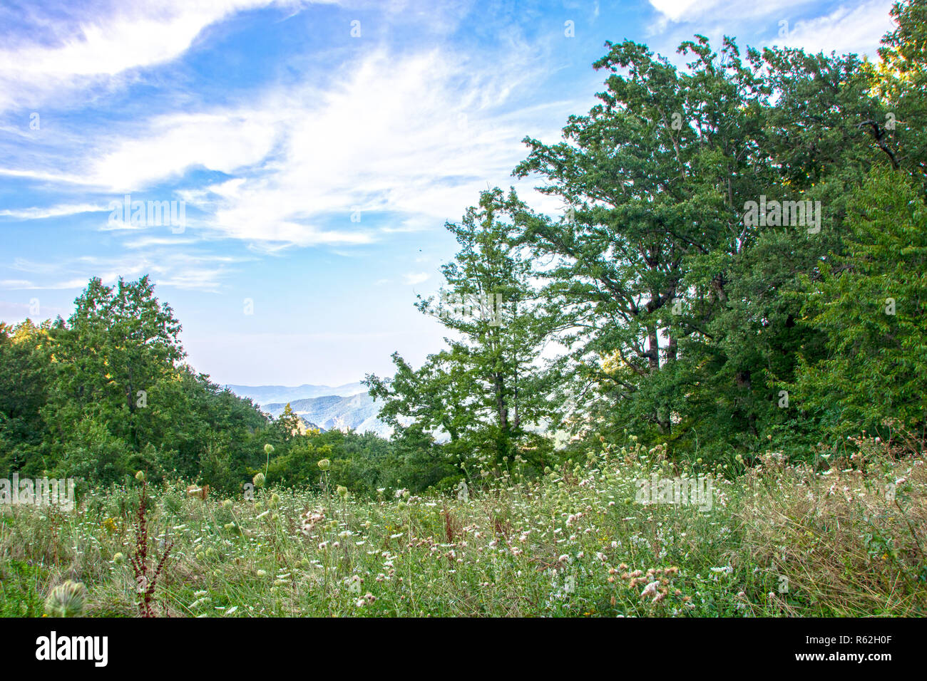 Naturpark Pollino Nationalpark in der Basilicata, Italien Stockfoto