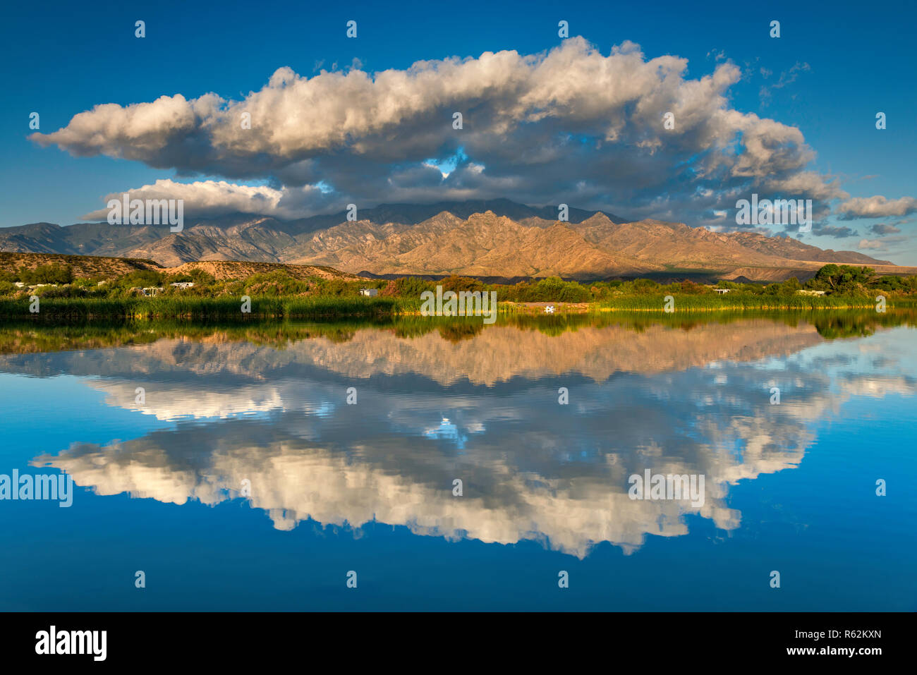 Roper Lake, Pinaleno Mountains im Abstand, Roper Lake State Park, in der Nähe von nagold, Arizona, USA Stockfoto