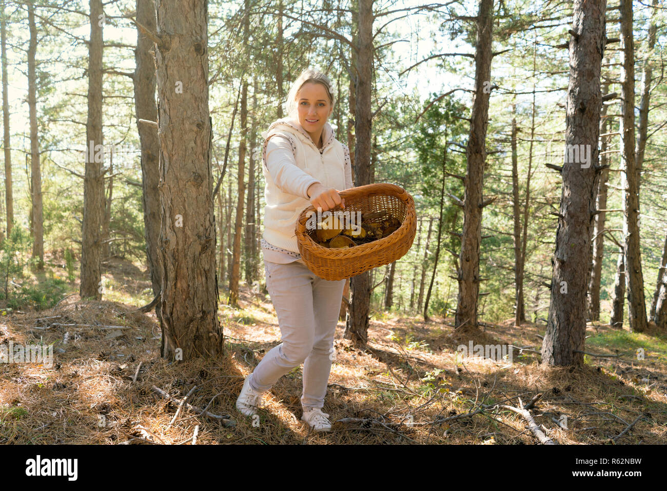 Pilze, Frau Sammeln von Pilzen im Wald Stockfoto