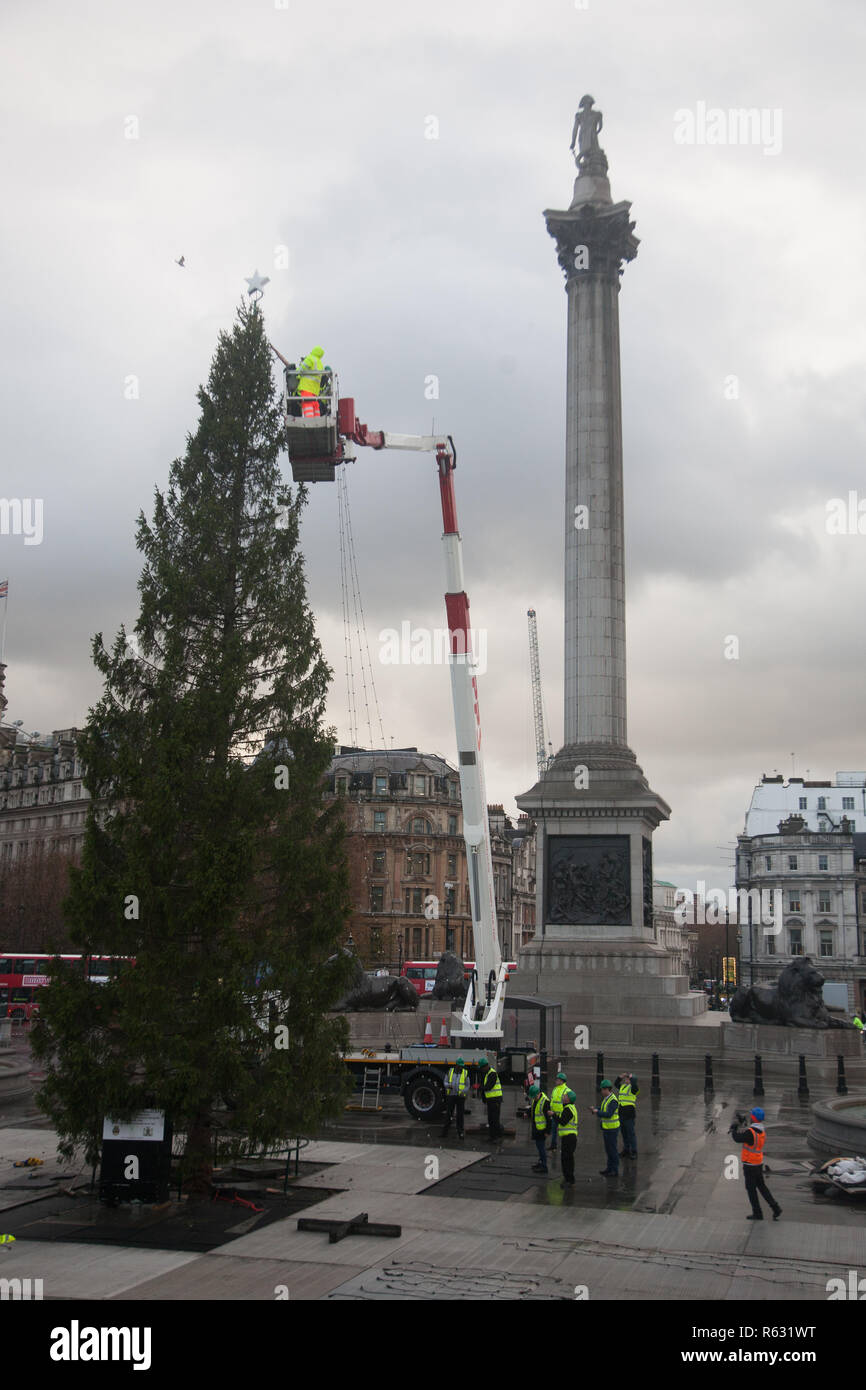 London, Großbritannien. 3. Dezember 2018. Arbeiter auf Cherry Picker Platz der Stern oben auf dem riesigen Norwgian fichte Weihnachtsbaum, die in Trafalgar Square errichtet wurde. Der Weihnachtsbaum hat ein jährliches Geschenk aus Norwegen, Großbritannien seit 1947 als Dankbarkeit von Norwegen für Britains Freundschaft und Hilfe im Zweiten Weltkrieg Credit: Amer ghazzal/Alamy leben Nachrichten Stockfoto