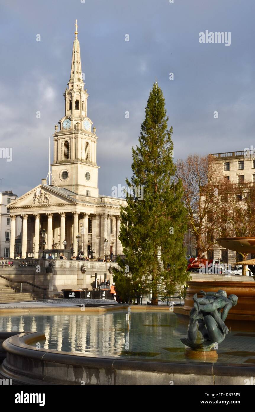 London, Großbritannien. 3. Dezember, 2018. Trafalgar Square Weihnachtsbaum heute errichtet. Der Baum ist ein jährliches Geschenk von den Leuten von Oslo als Zeichen der Dankbarkeit für die britische Unterstützung für Norwegen während des Zweiten Weltkriegs. Trafalgar Square, London.UK Credit: michael Melia/Alamy leben Nachrichten Stockfoto