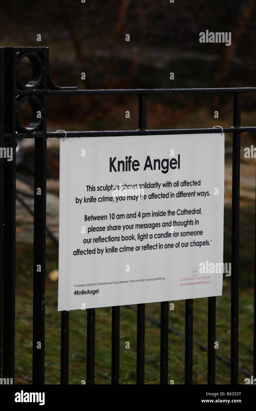 Liverpool, Großbritannien, 3. Dezember 2018 Messer Engel auf der Kathedrale von Liverpool. Die Skulptur ist von 100.000 Messer in den Behörden credit Ian Fairbrother/Alamy Leben Nachrichten übergeben werden Stockfoto