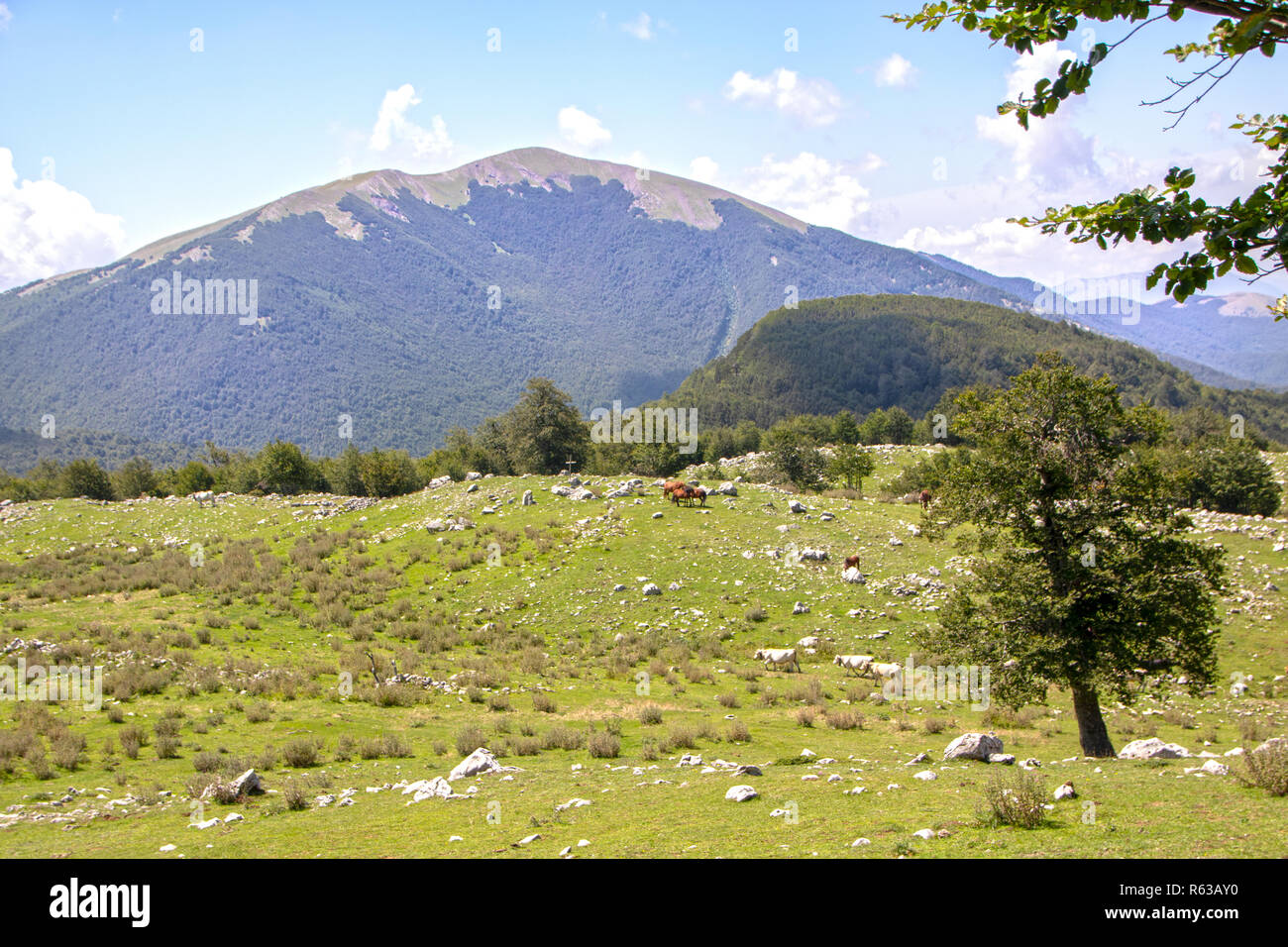 Landschaft der Nationalpark Pollino, eine große Naturpark in der Basilicata und Kalabrien, italienische Regionen Stockfoto