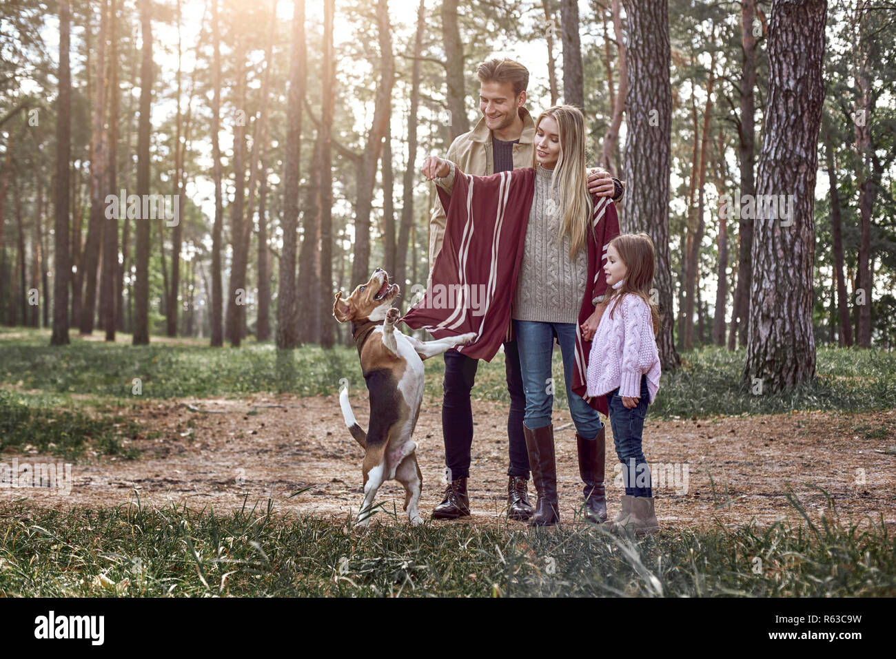 Glückliche Eltern haben sie Spaß mit ihrer Tochter und den springenden Hund im Wald Stockfoto