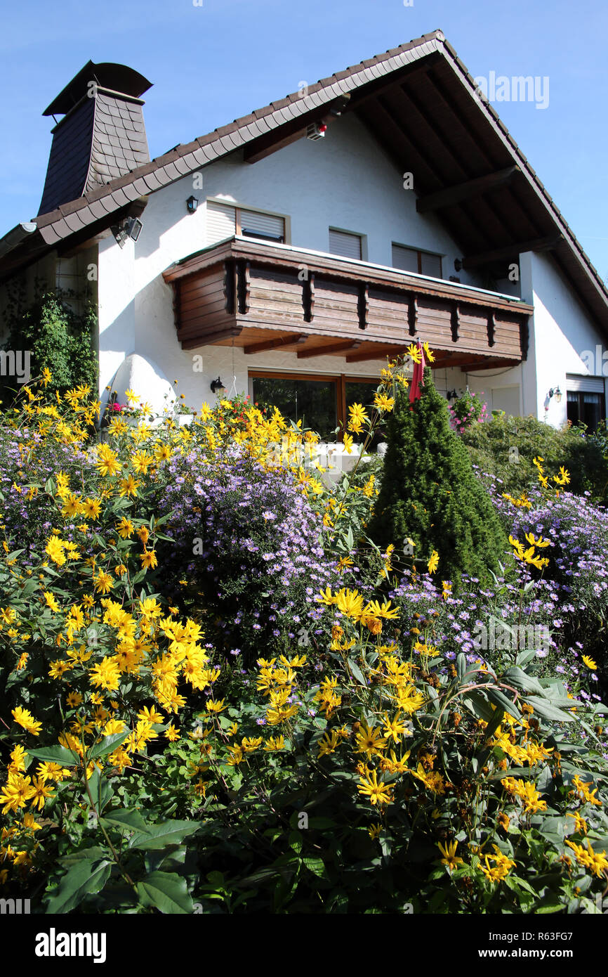 Blume Garten Im Herbst Mit Topinambur Helianthus Tuberosus Und