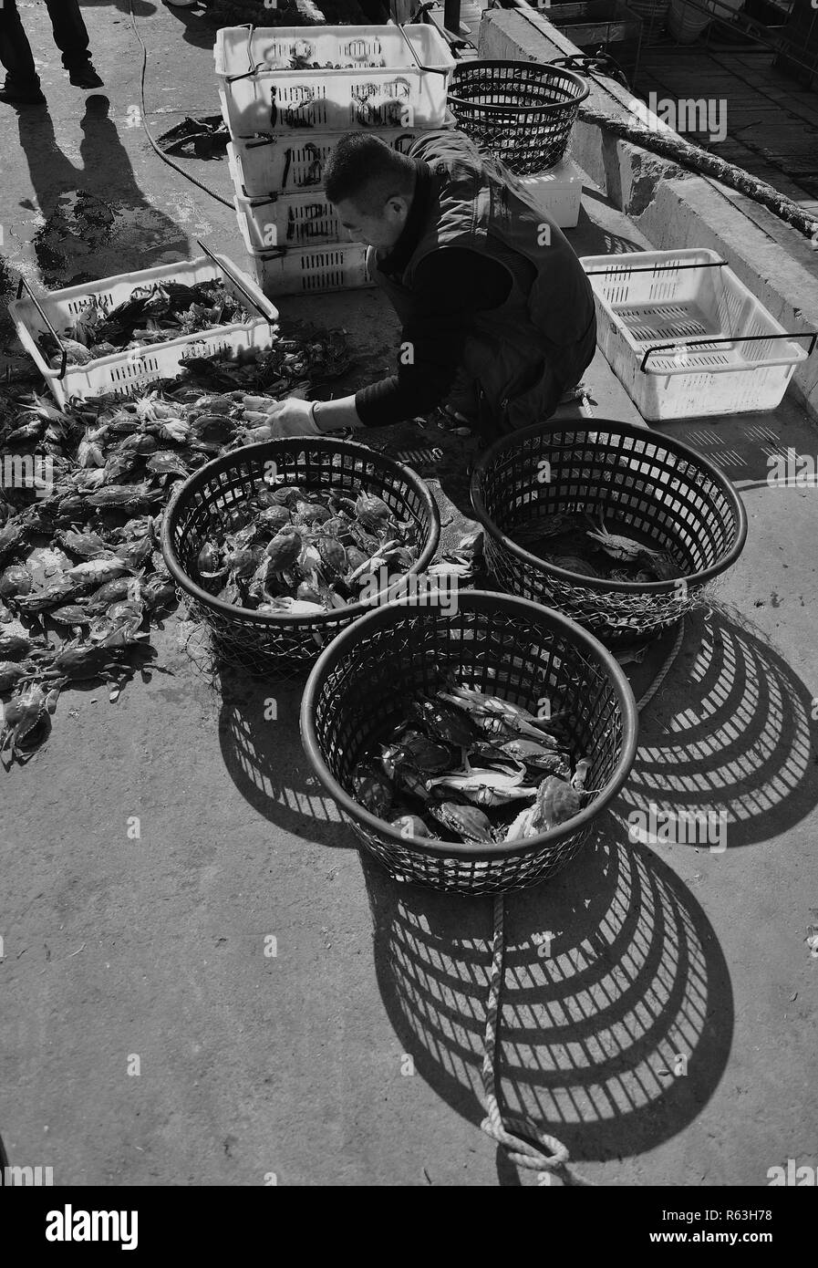 Chinesische Fischerhafen in Qingdao Stockfoto