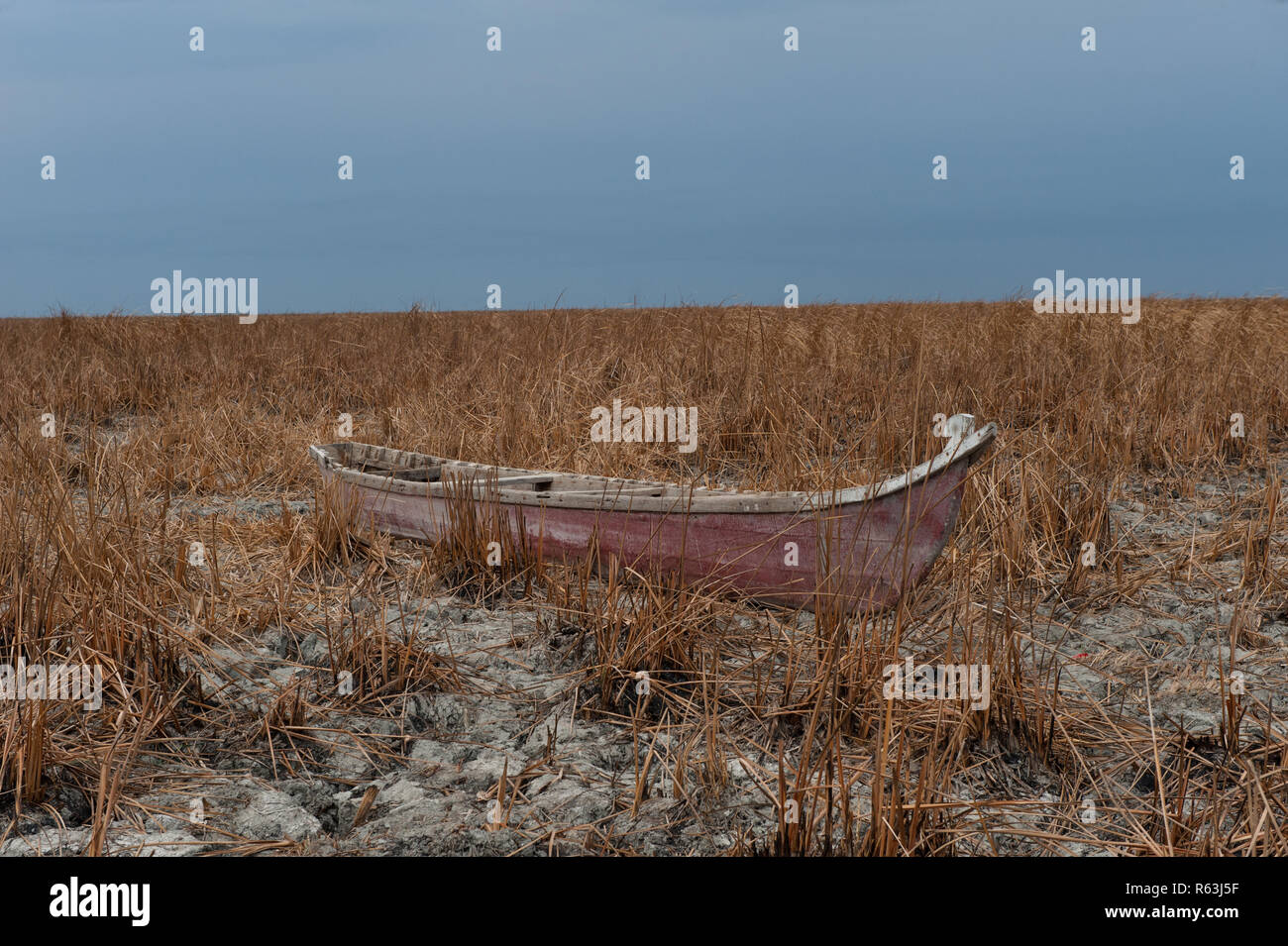 Dürre in den Sumpfgebieten des Südirak Stockfoto