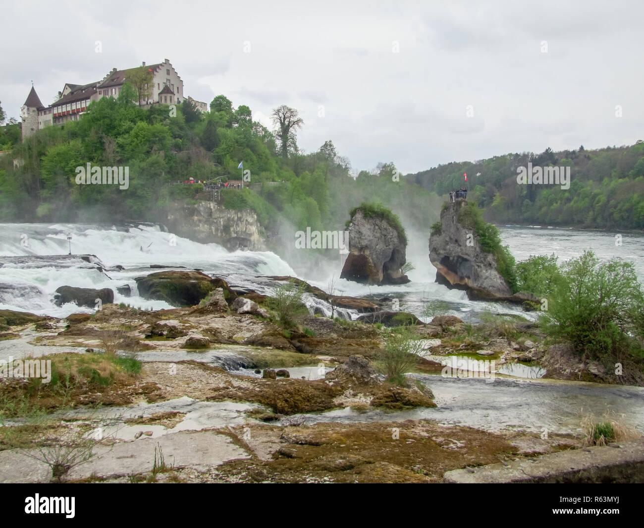 Rheinfall in der Schweiz Stockfoto