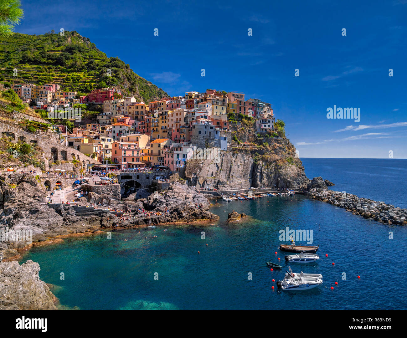Blick auf die Stadt mit Hafen und bunten Häusern, Manarola, Cinque Terre, La Spezia, Ligurien, Italien, Europa Stockfoto