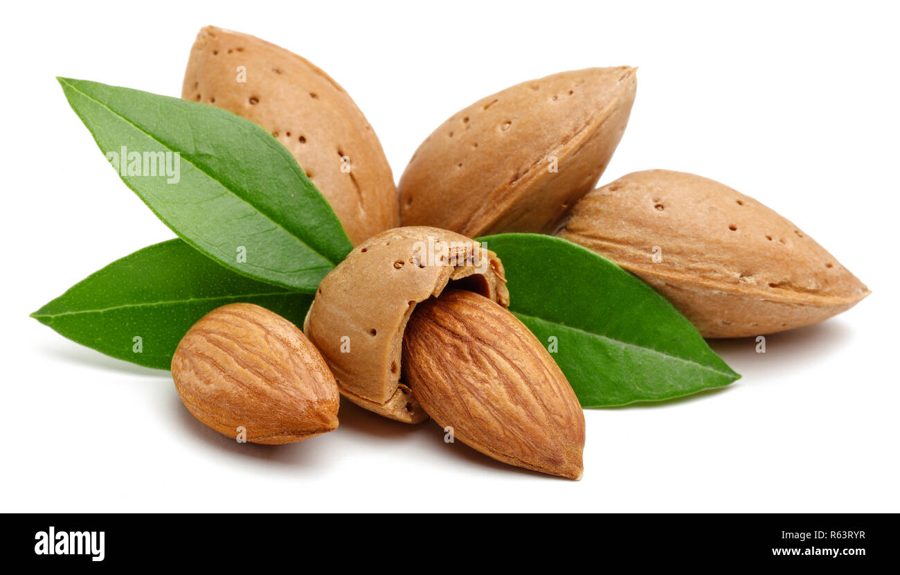 Mandeln mit Blättern auf weißem Hintergrund. Makro, Studio gedreht. Stockfoto