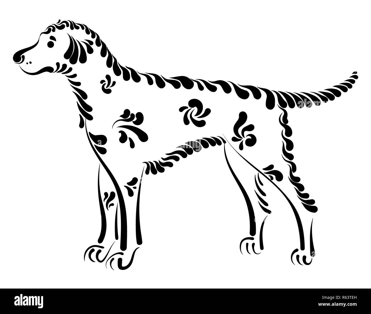 Schöne dekorative Hund Stockfoto