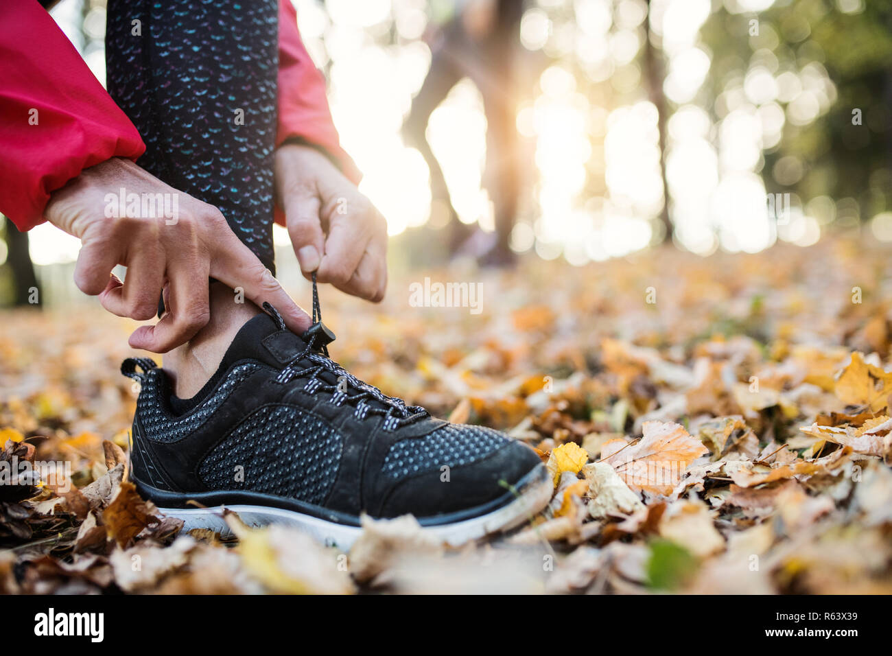 Ein Mittelteil von Läuferin im Freien im Herbst Natur, Schnürsenkel binden. Stockfoto