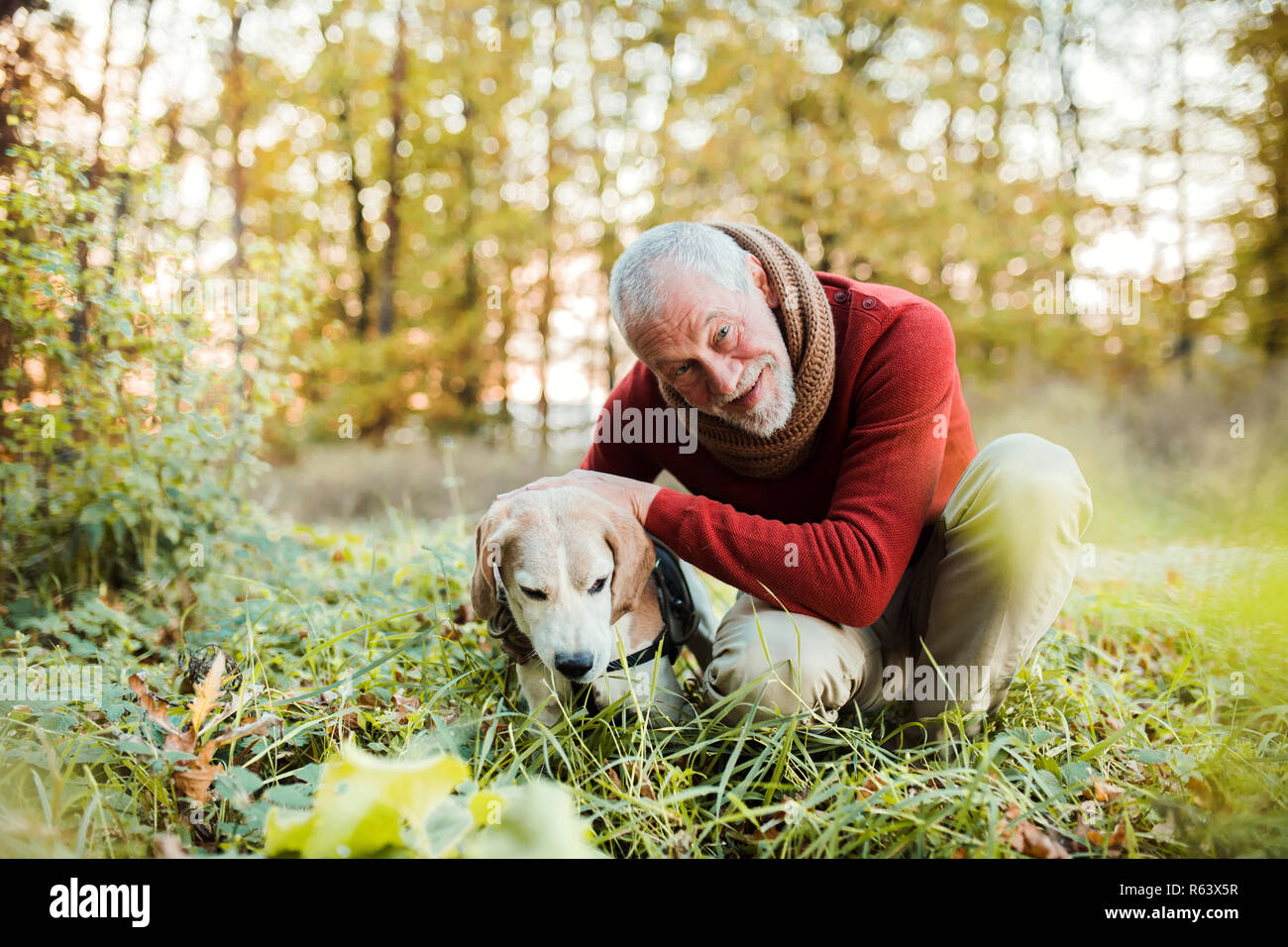 Ein älterer Mann mit einem Hund in einem Herbst sonnige Natur. Stockfoto