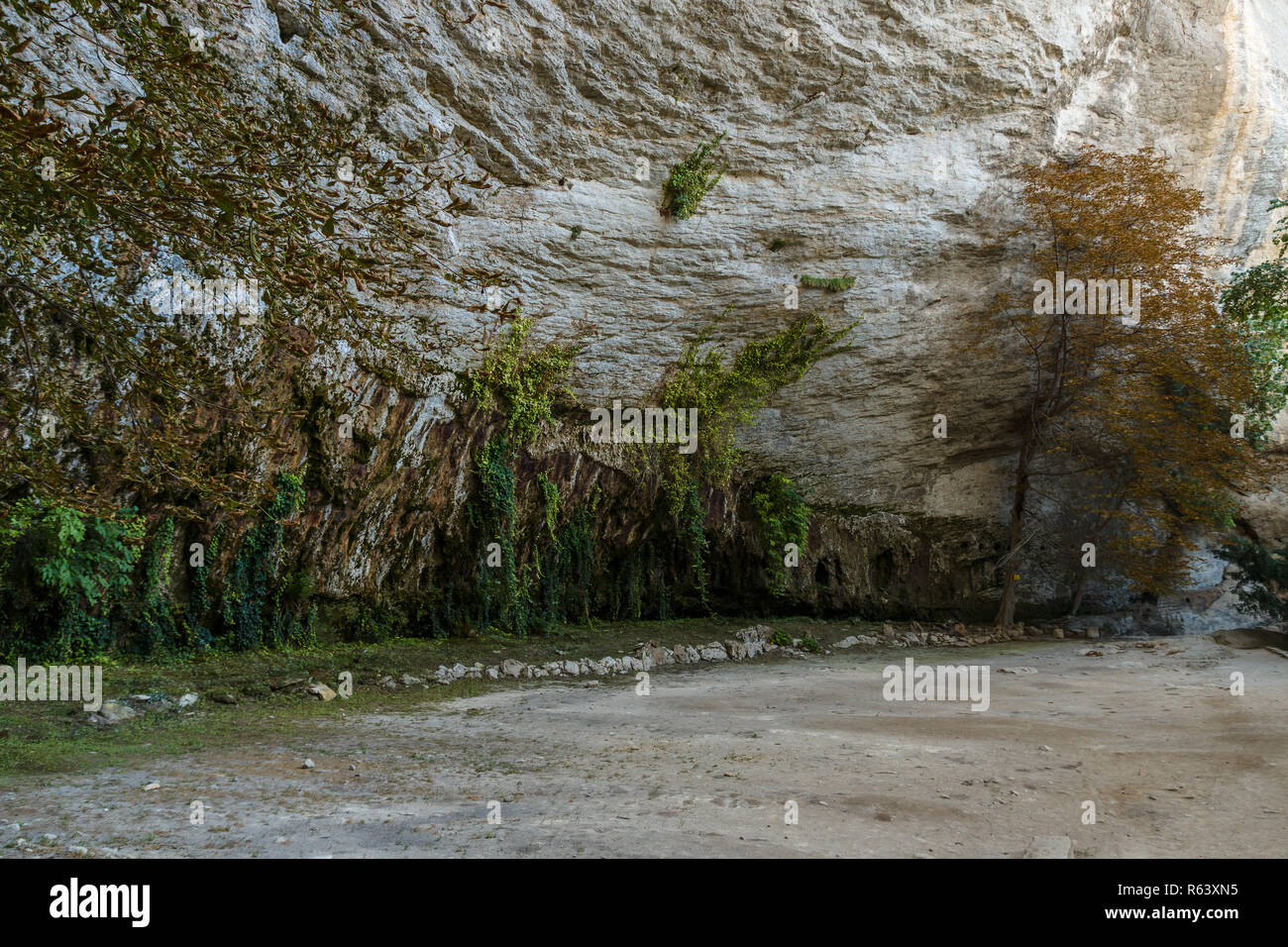 Natürliche Hintergrund. Steile Felsen und Pflanzen zu Ihnen. Stockfoto