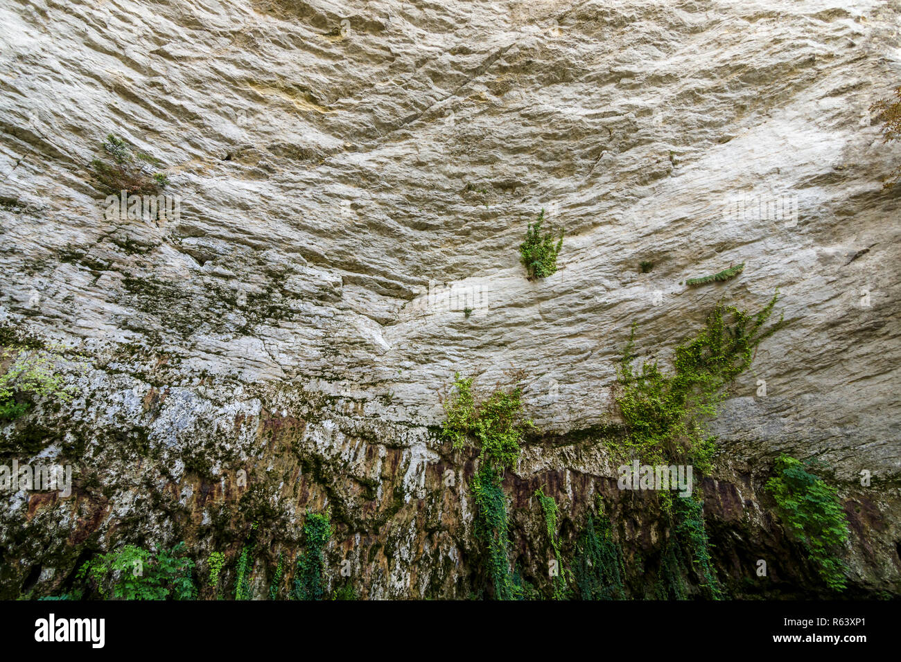 Natürliche Hintergrund. Steile Felsen und Pflanzen zu Ihnen. Stockfoto