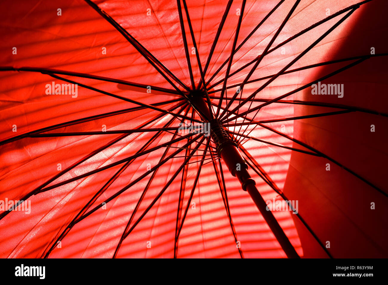 Innerhalb der roten Regenschirm und Sonnenlicht mit Schatten, Sonnenschein durch Sonnenschirm Stockfoto