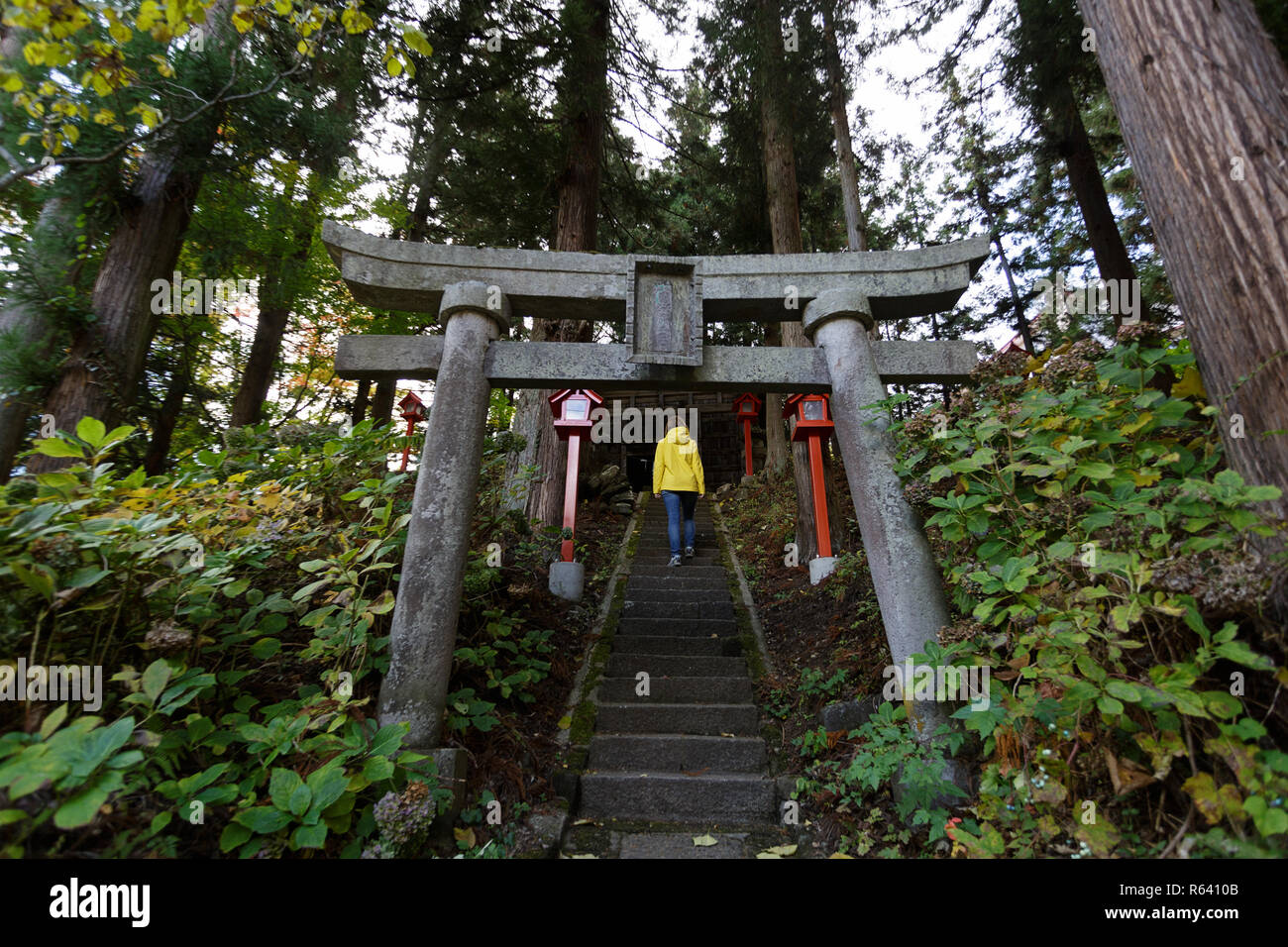 Frau zu Fuß durch Torii Tor auf Schritte zu einem kleinen Shinto Schrein in Wäldern, Honshu, Japan Stockfoto