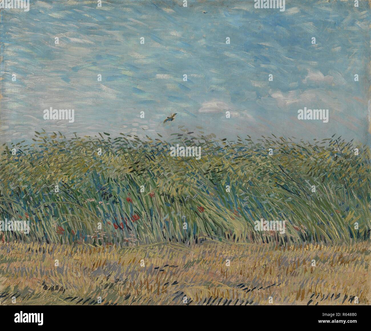 Wheatfield mit Rebhuhn. Datum: Juni-Juli 1887, Paris. Abmessungen: 53,7 cm x 65,2 cm, 71,5 cm x 82,5 cm. Museum: Van Gogh Museum, Amsterdam. Autor: Van Gogh, Vincent. VINCENT VAN GOGH. Stockfoto