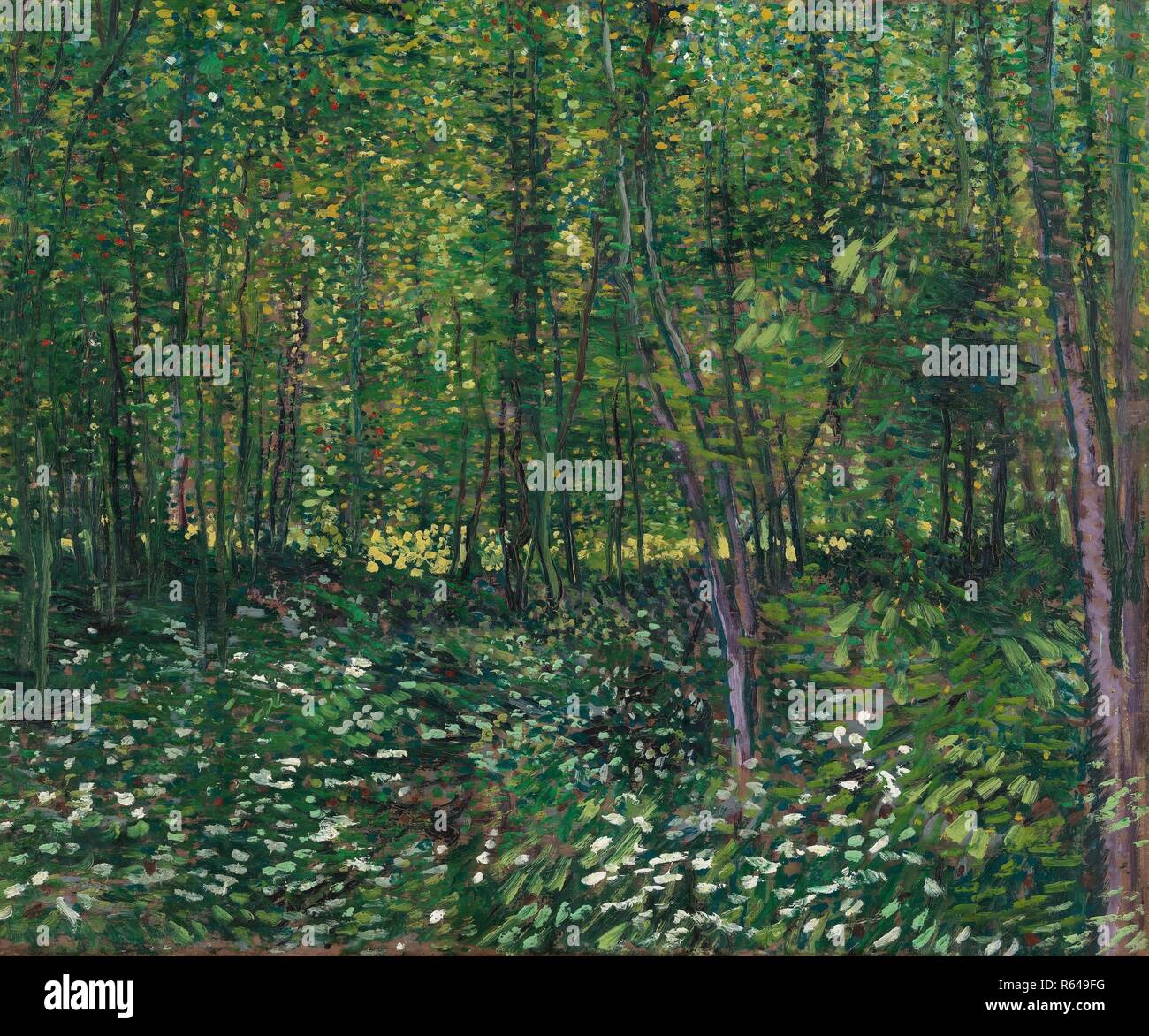 Bäume und Unterholz. Datum: Juli 1887, Paris. Abmessungen: 46,2 cm x 55,2 cm, 61,5 cm x 71 cm. Museum: Van Gogh Museum, Amsterdam. Autor: Van Gogh, Vincent. VINCENT VAN GOGH. Stockfoto