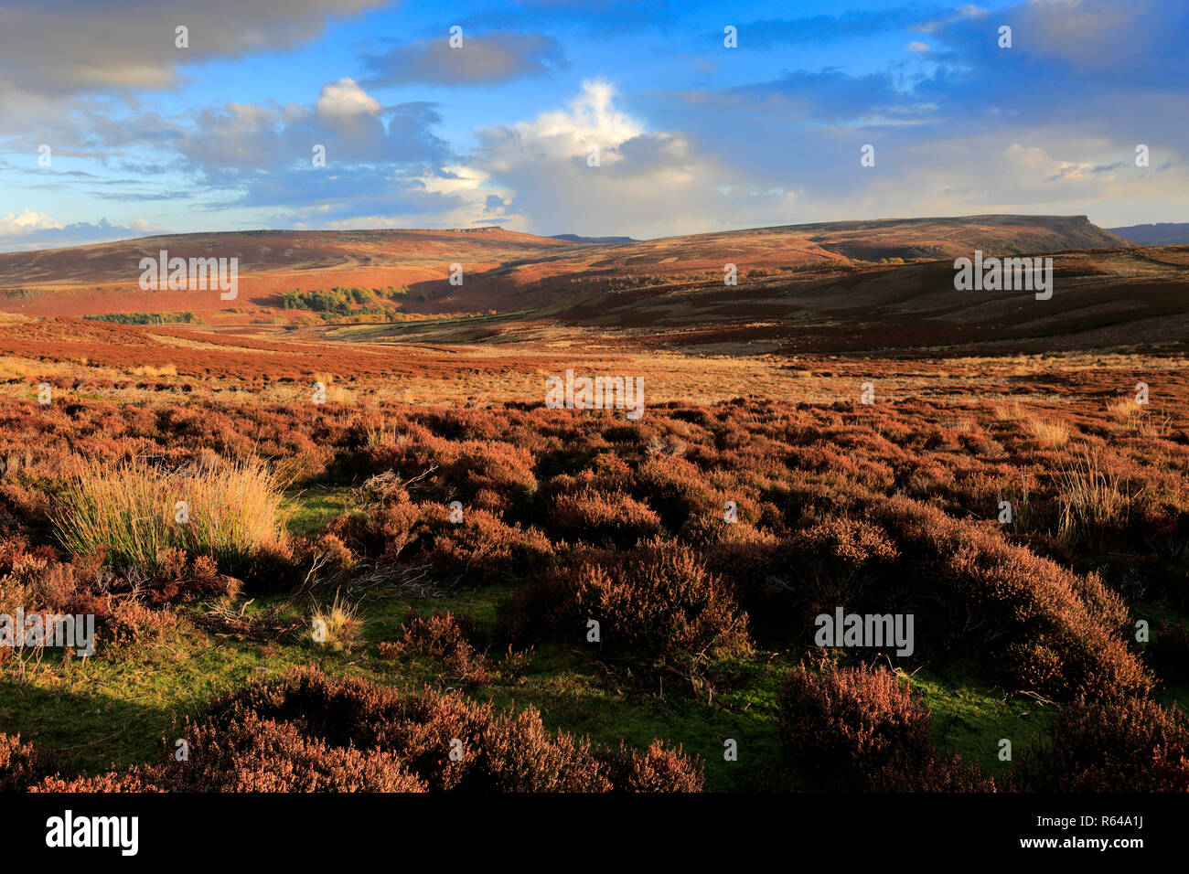 Sonnenuntergang über den Derwent Mauren, Obere Derwent Valley Nationalpark Peak District, Derbyshire, England, Großbritannien Stockfoto