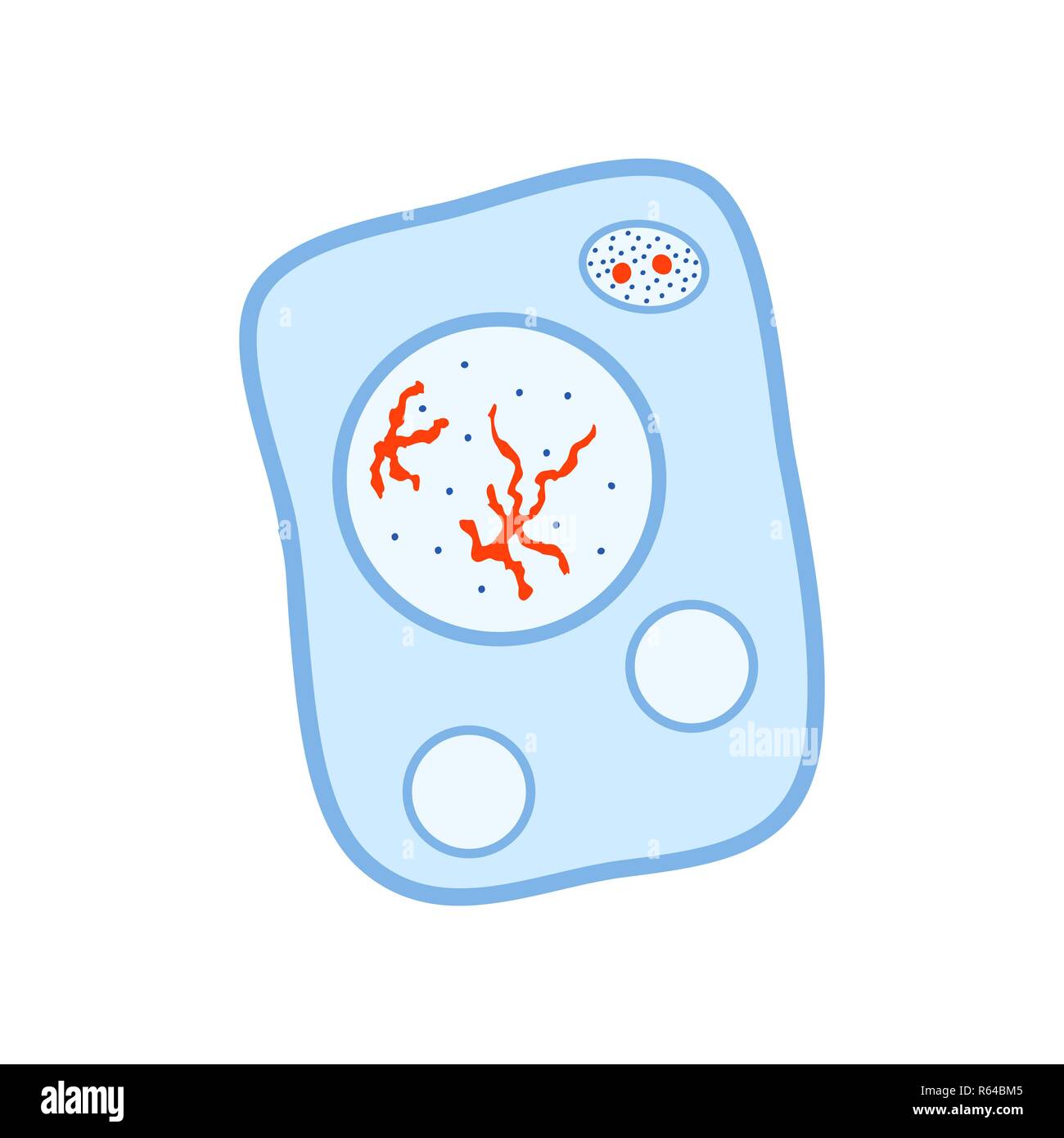 Farbenfrohe Biologie lebende Zelle, Symbol auf weißem Stock Vektor