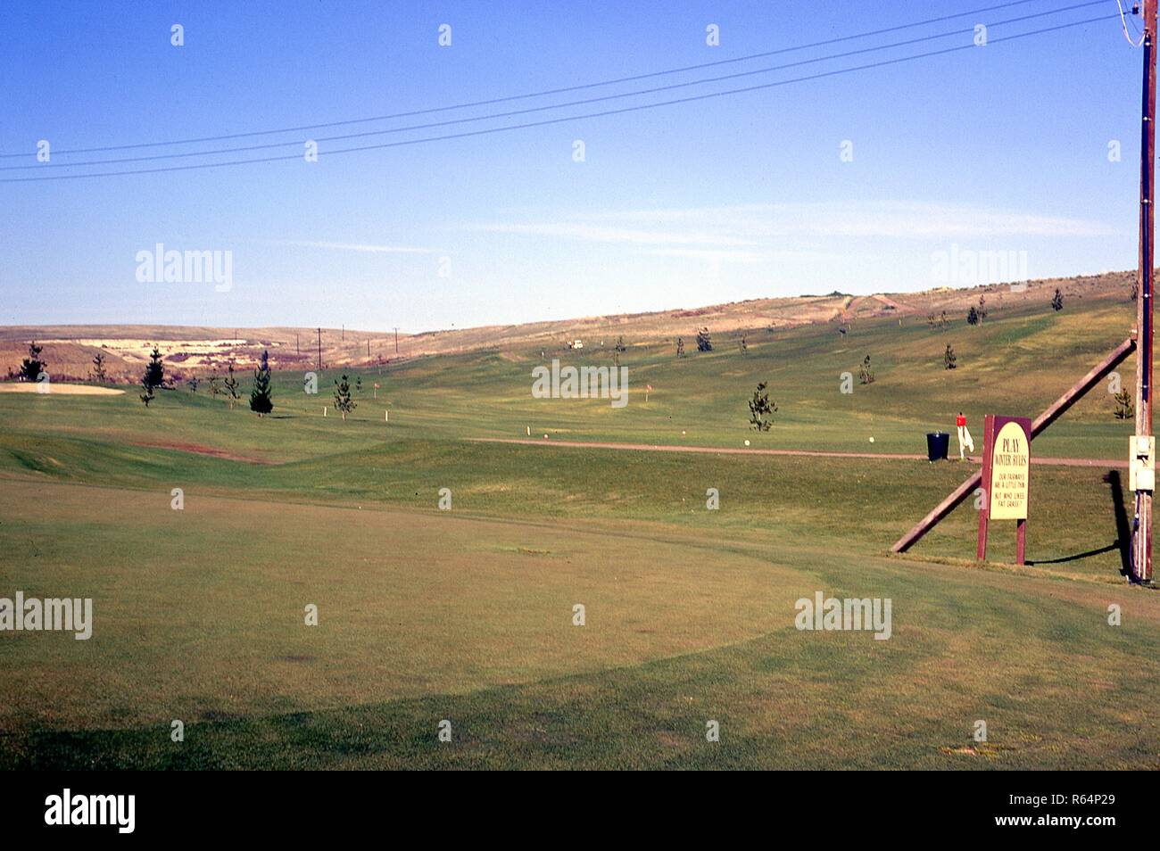 Ansicht der Grüns am Los Penasquitos Golfplatz, im Rancho Penasquitos Bereich nordöstlich von San Diego, Kalifornien, Juni, 1967. An der hölzernen Schild am rechten unteren lautet: 'Play Winter Regeln. Unsere Fahrrinnen sind ein wenig dünn, aber wer mag fettes Gras?". () Stockfoto