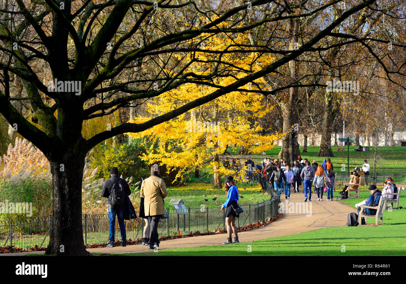 St James's Park im Herbst (November 2018) London, England, UK. Stockfoto