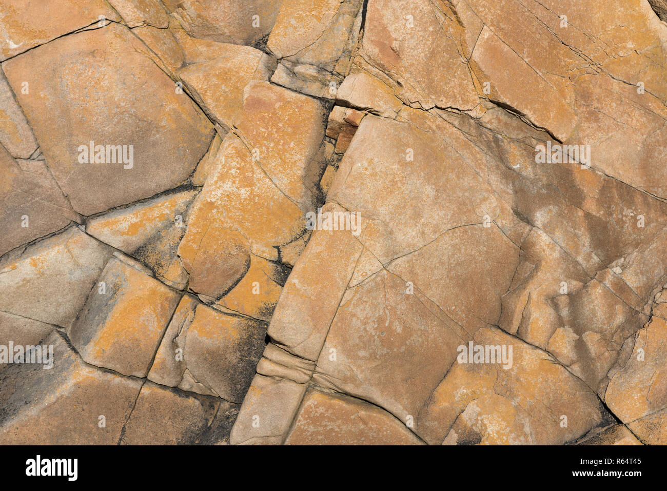 Gelbe natürlichen warmen Stein Struktur. Stockfoto
