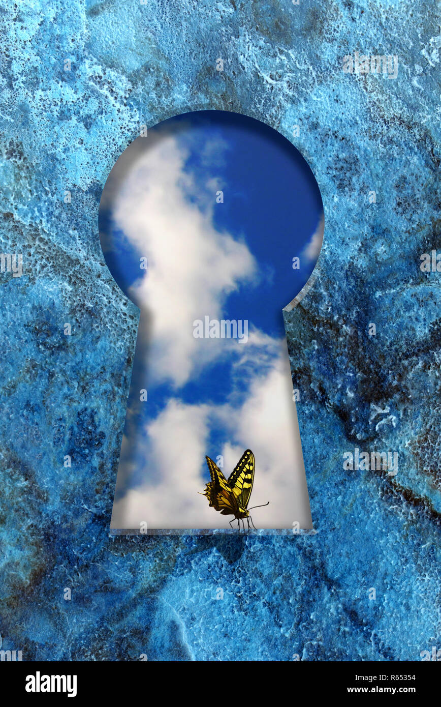 Gelben Schmetterling, stehend auf einem Schlüsselloch, surrealistische Bild Stockfoto