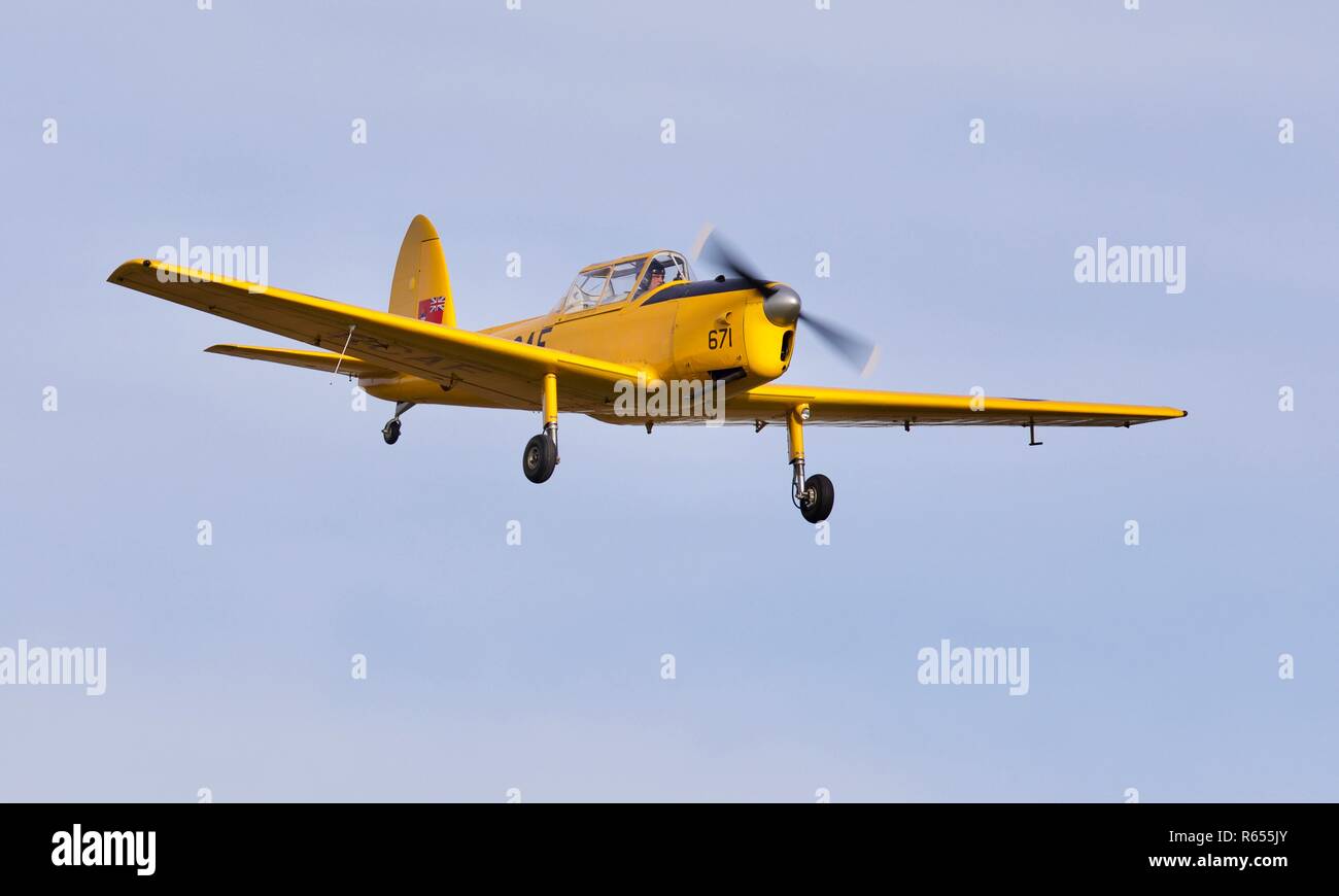 1952 DHC Chipmunk T. 22 Fliegen an der 2018 Race Day Airshow in Old Warden Stockfoto